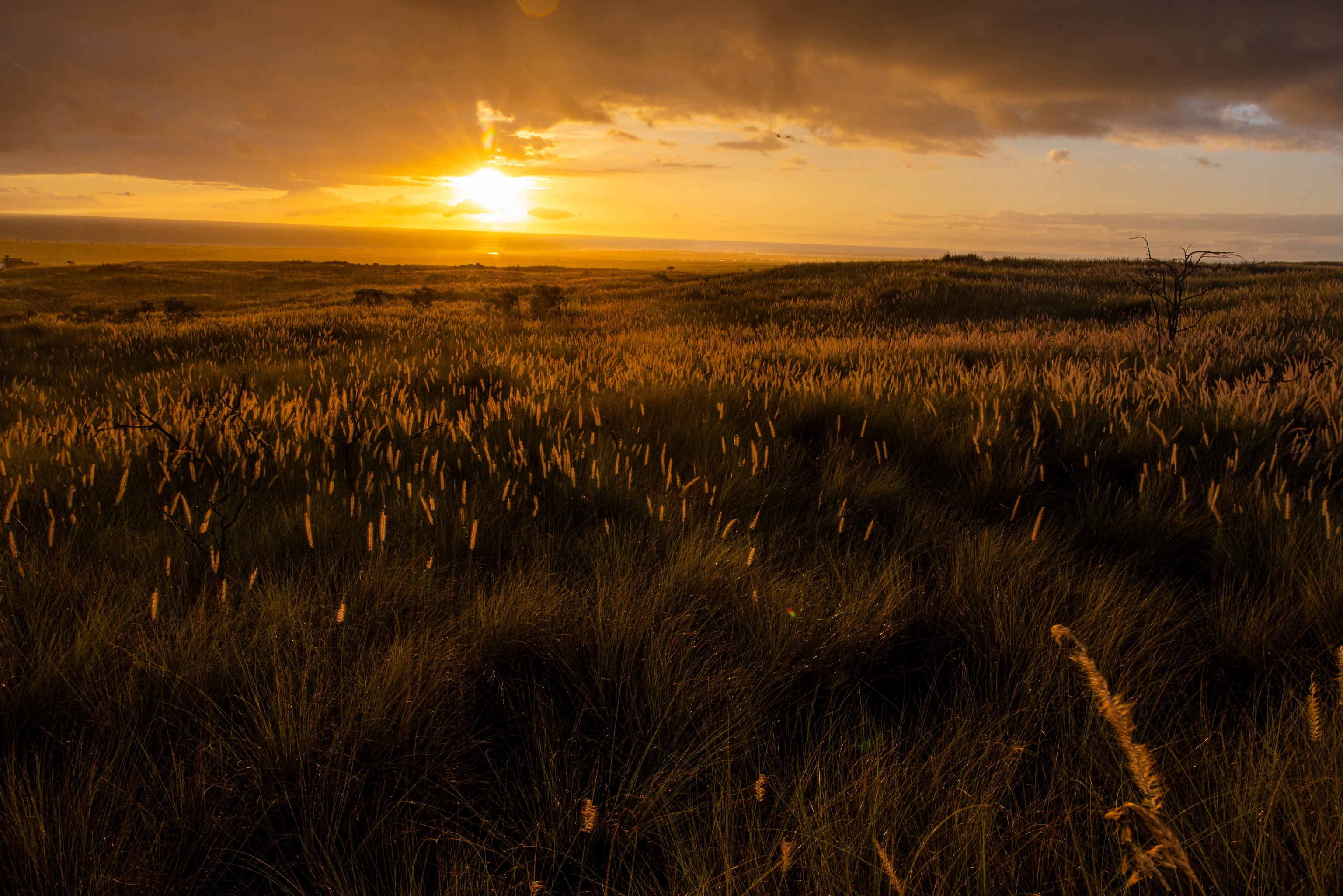 Sunset on Big Island, Hawaii