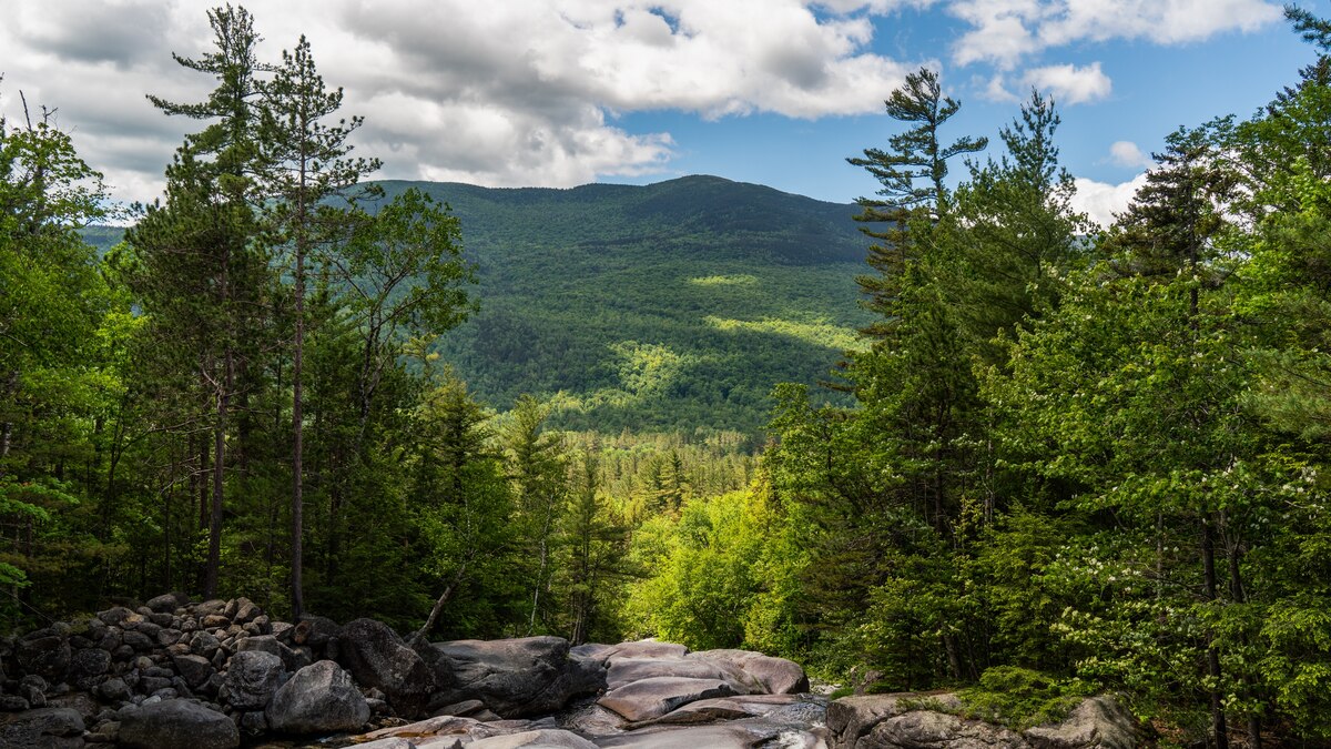 Uncover the natural, the unexpected, and the awe-inspiring in Maine - Vimarsana News