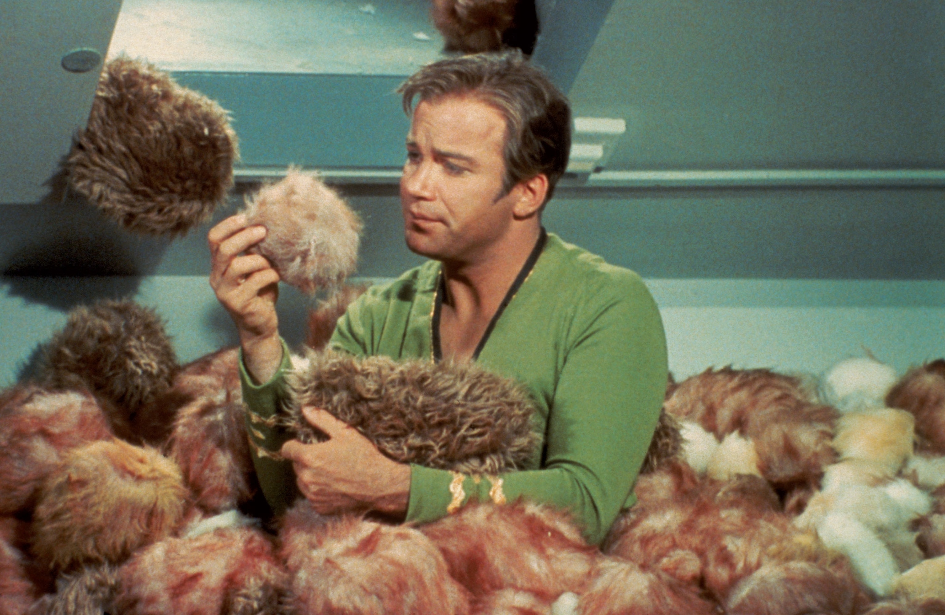 the character Kirk, from Star Trek, holding tribbles