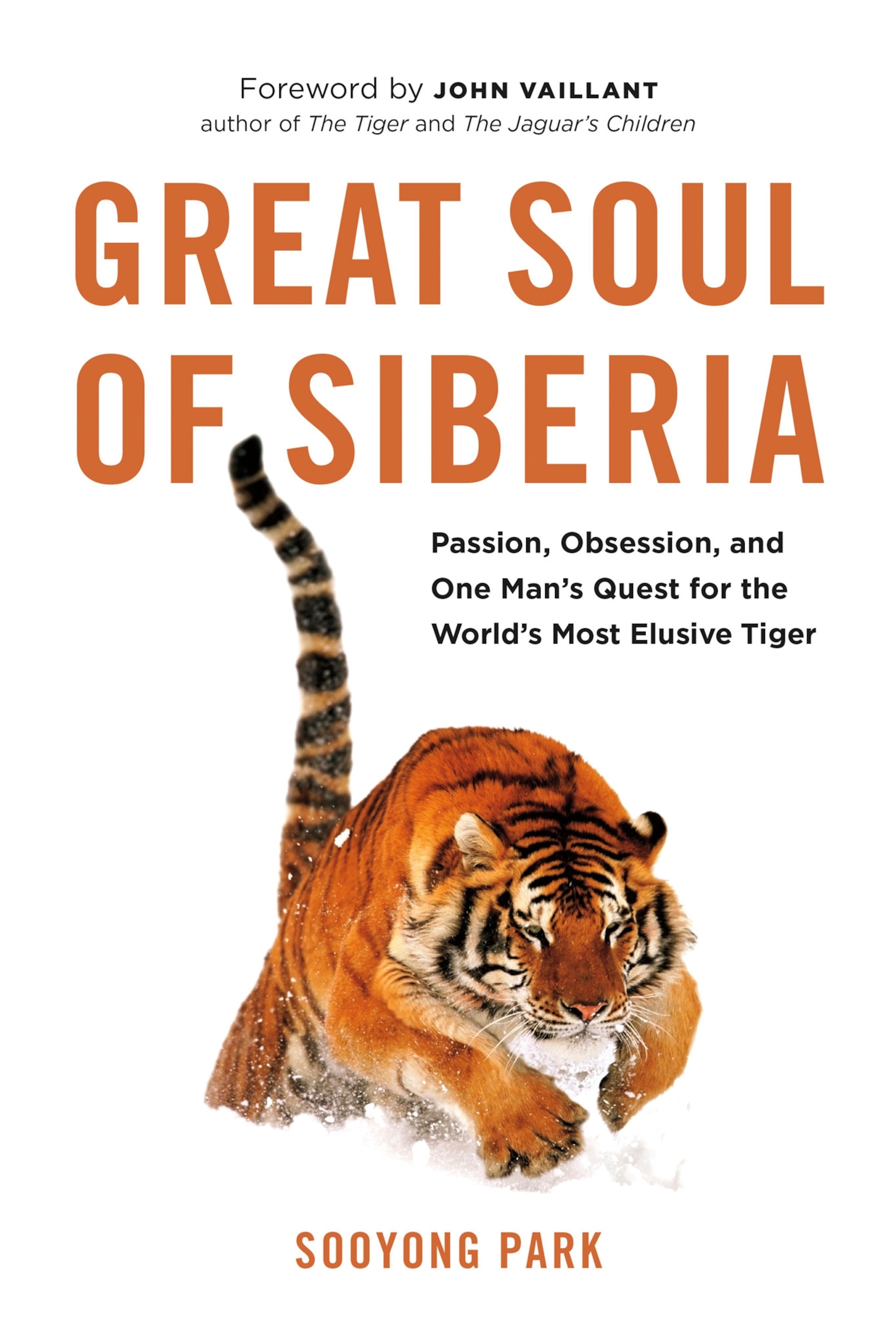 Soul of Siberia　Wild Siberia fired How A Photographer Captured The Beauty of Siberian Tigers