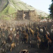 Top 130 How Many Animals In Noah s Ark Merkantilaklubben