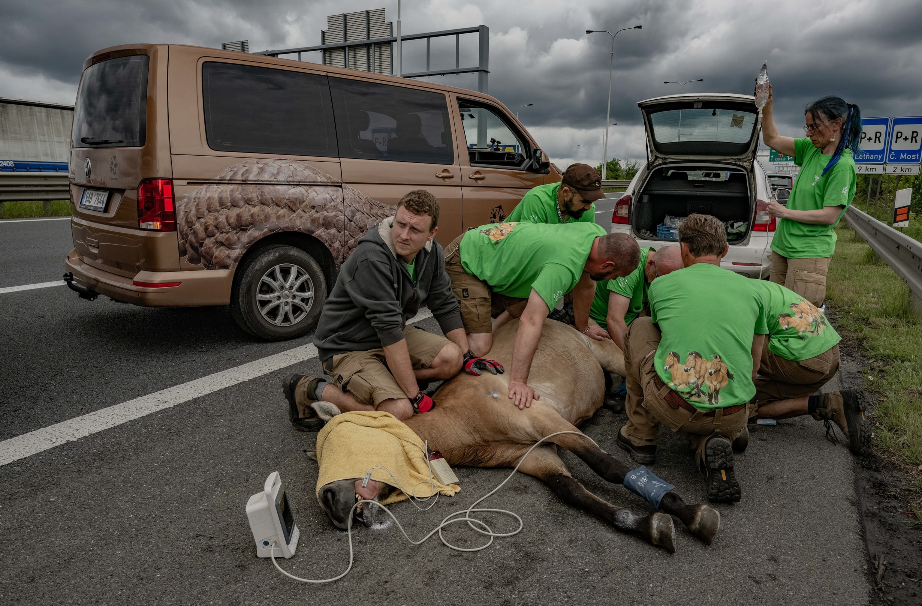A horse is laying on the highway with a team in green jackets tending too it.