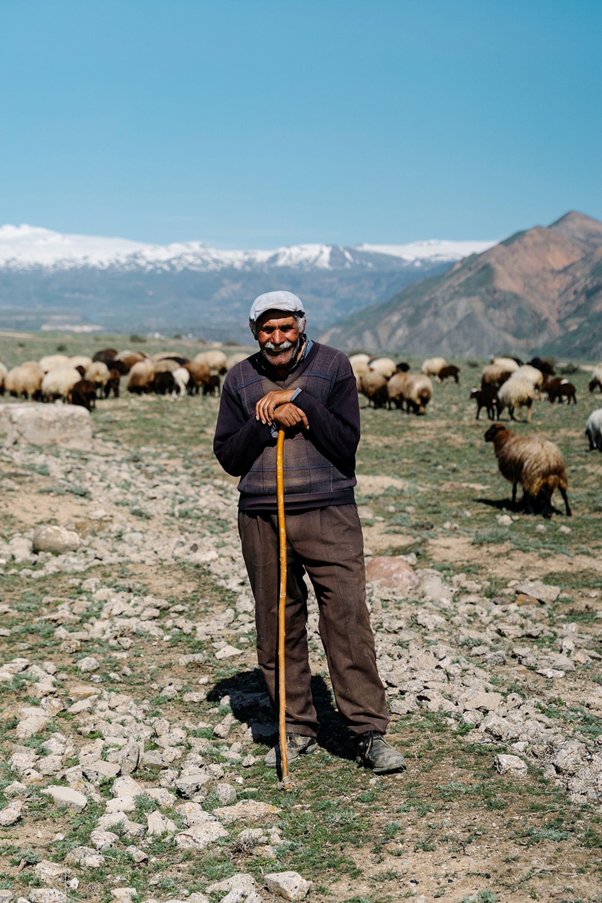 An elderly, moustached farmer posing for a portrait on a rocky mountain plateau with a sheep herd grazing in the background.