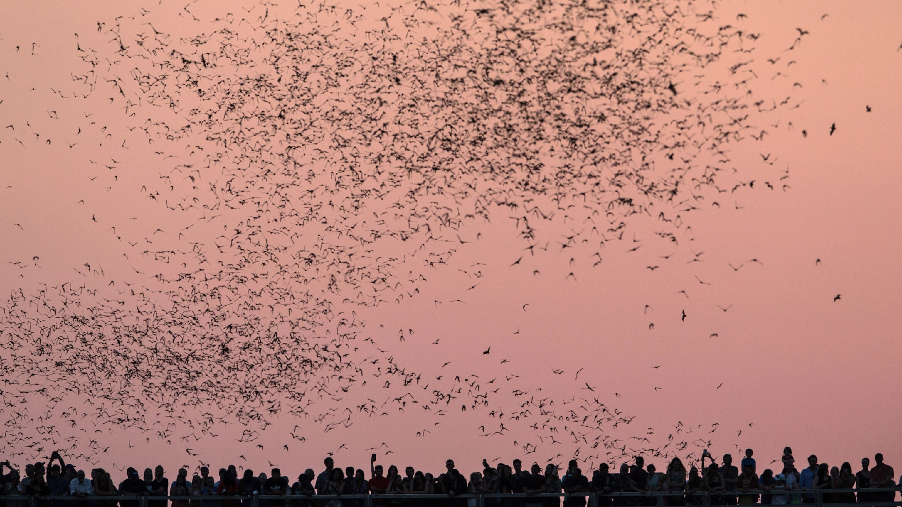 Watching the Total Solar Eclipse - Five Eco-Friendly Escapes