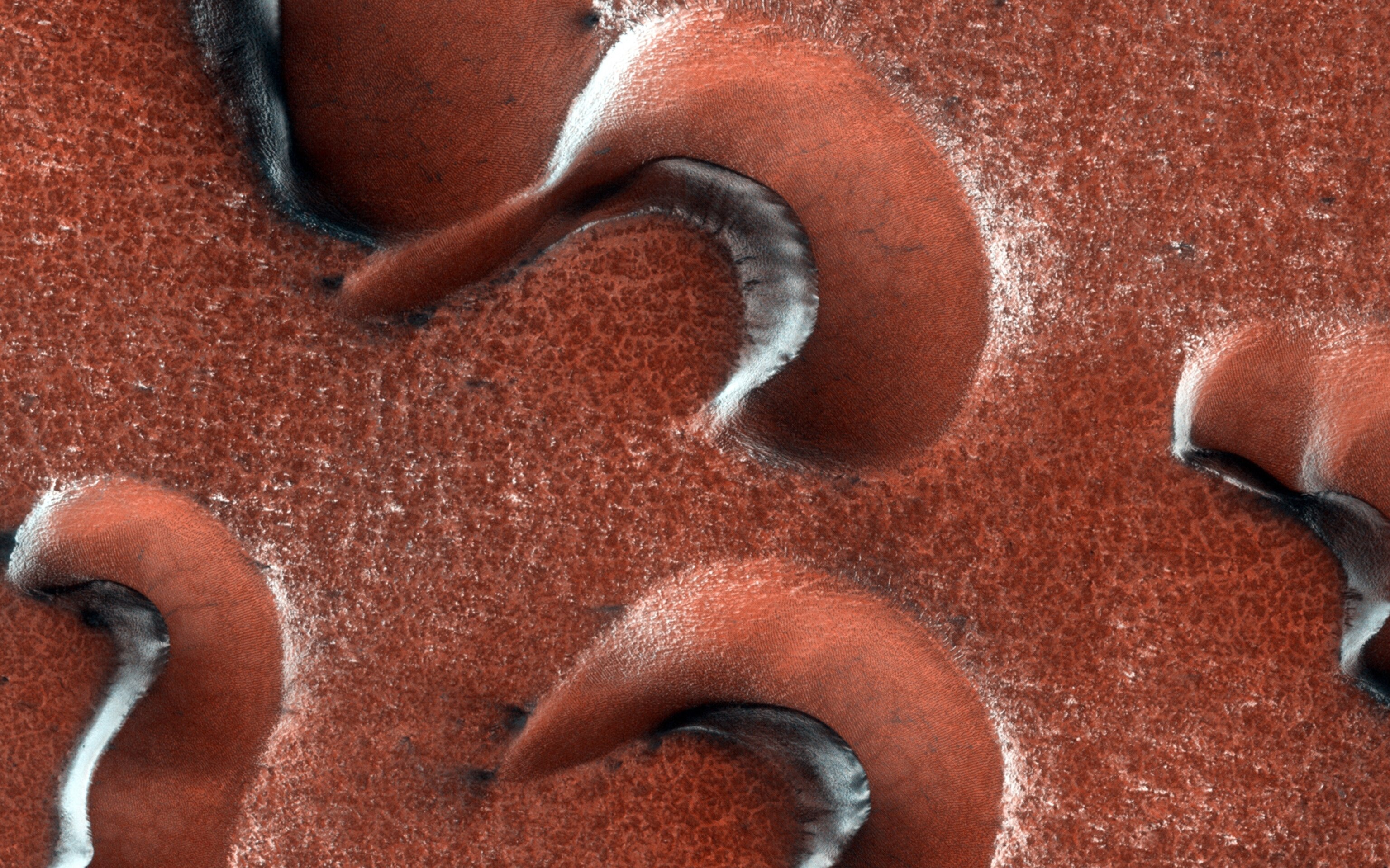 gullies on Mars