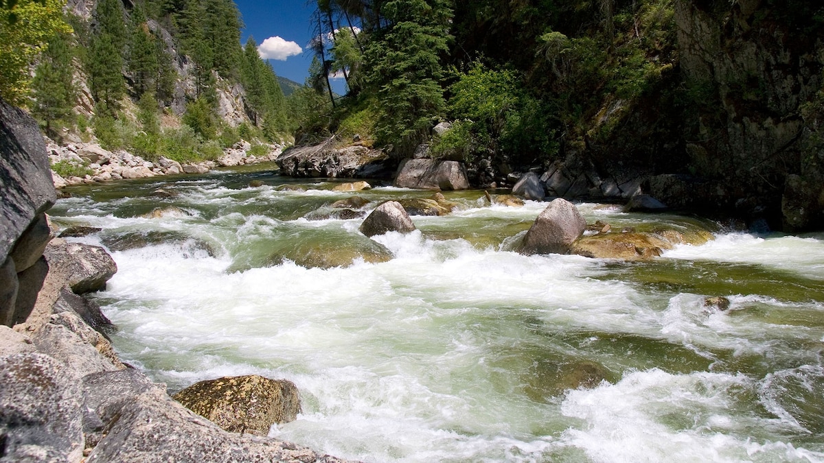 Report Ranks 10 Most Endangered U.S. Rivers