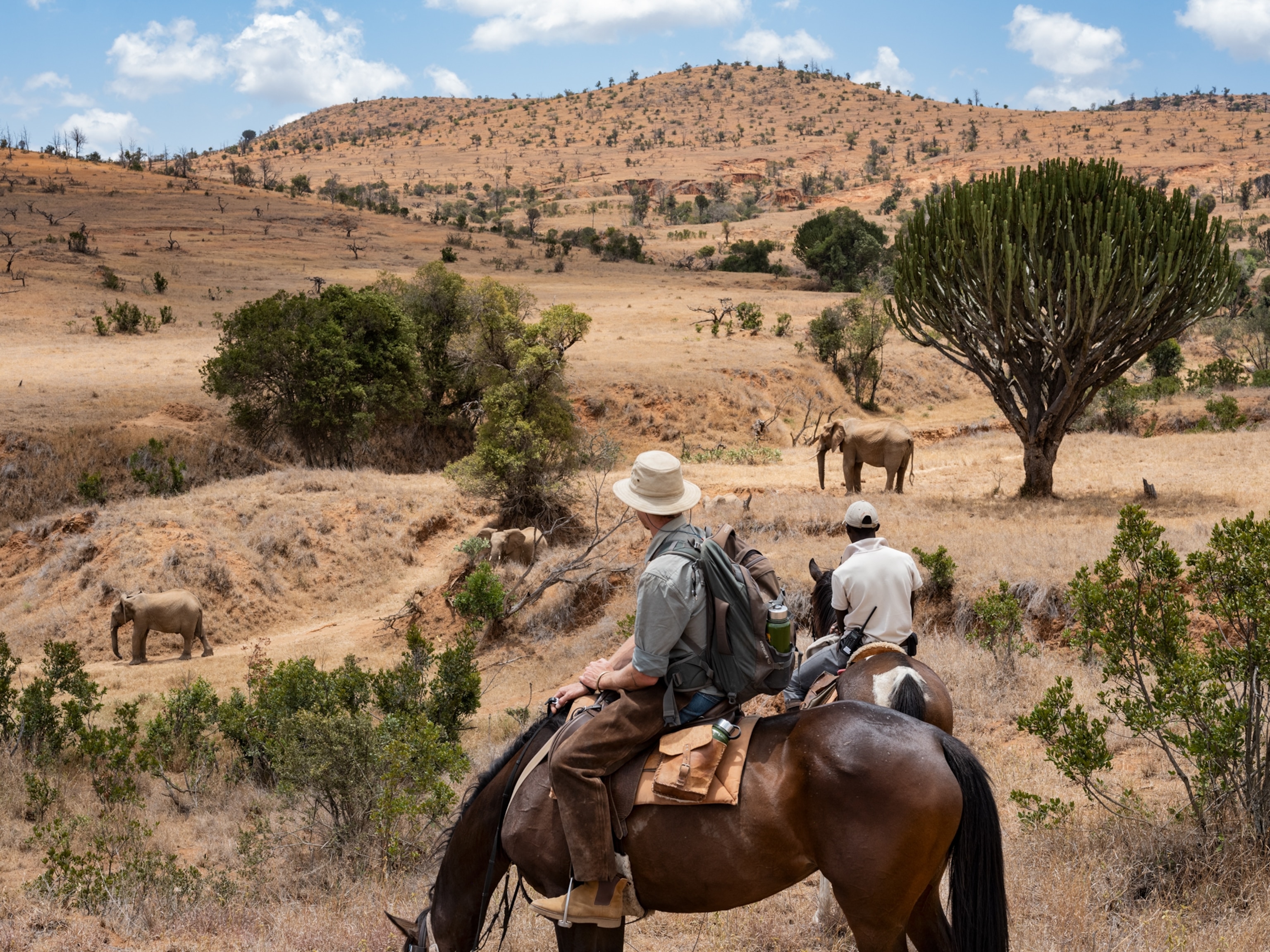 safari tourism in kenya