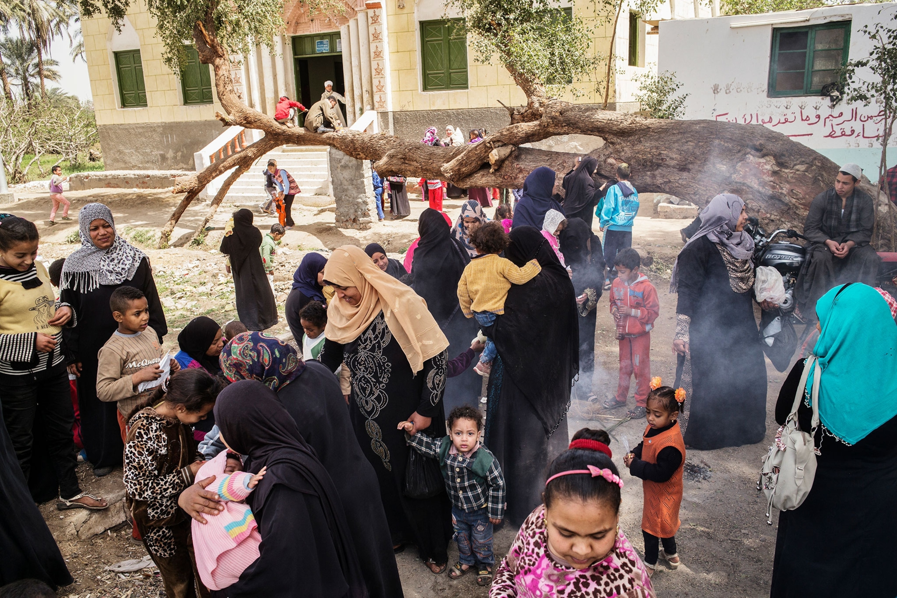 Picture men and women go to the tree that bleeds