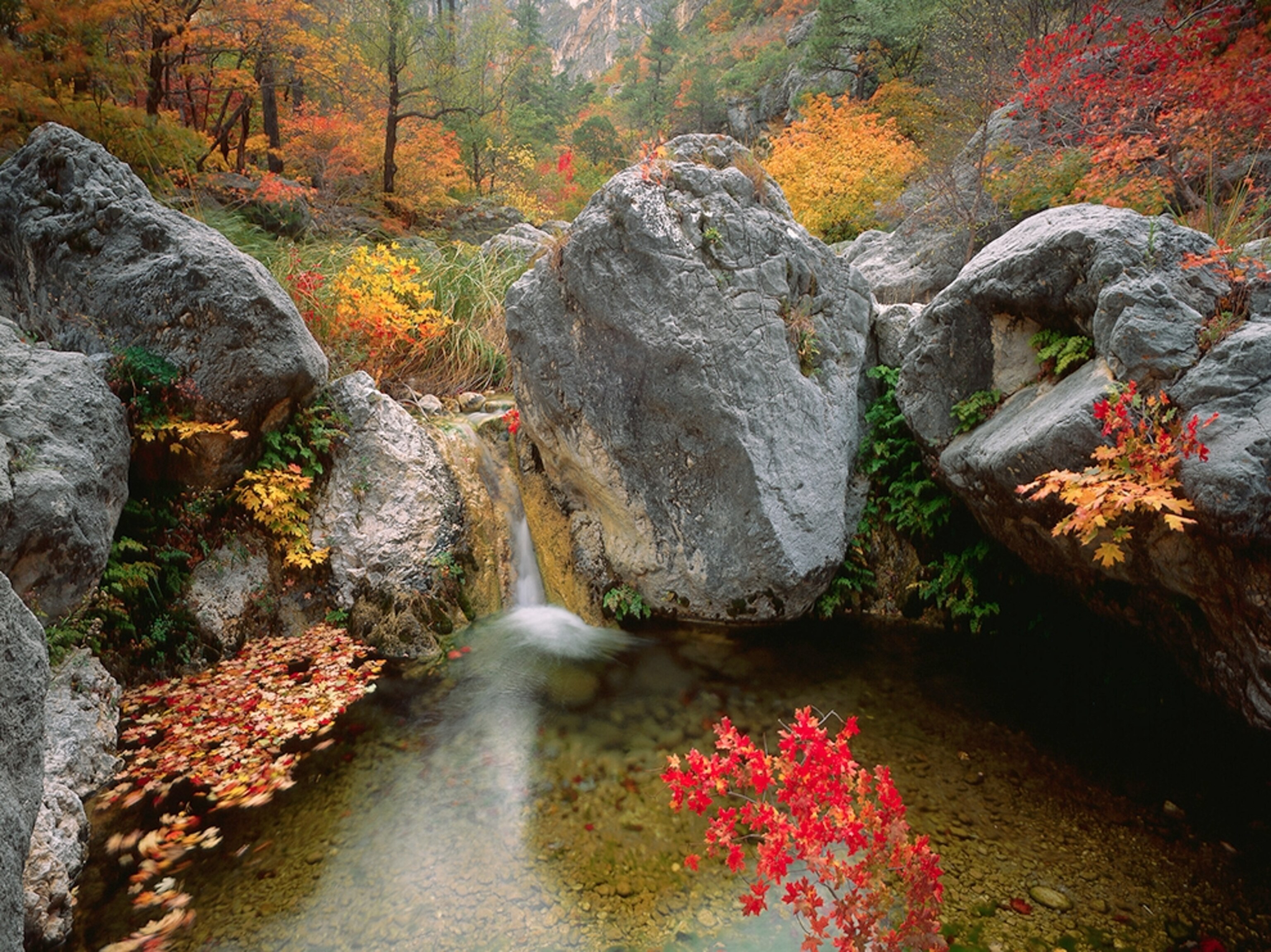 waterfall stream and rocks in Guadalupe Mountains National Park, Texas