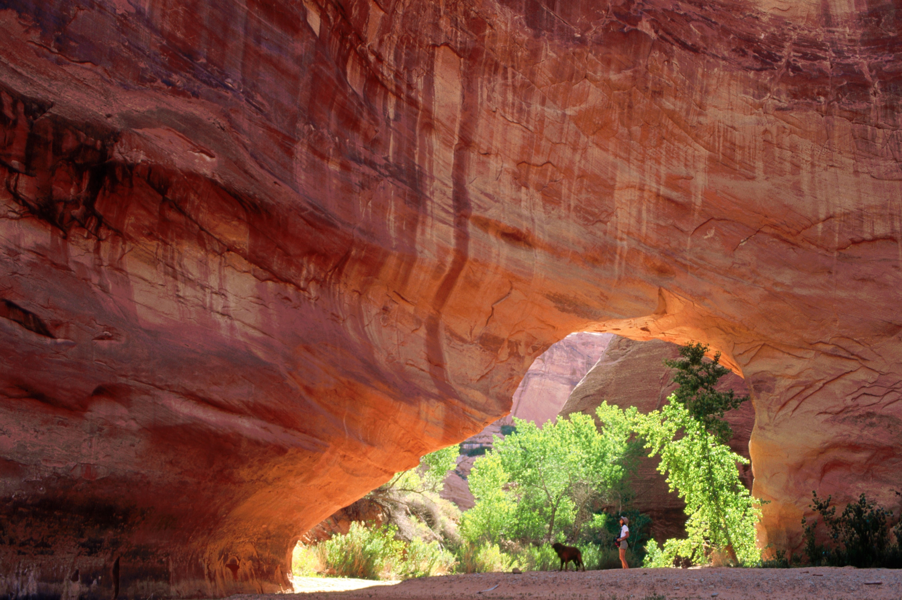 a hiker under a rock arch at Coyote Gulch in Capitol Reef National Park, Utah
