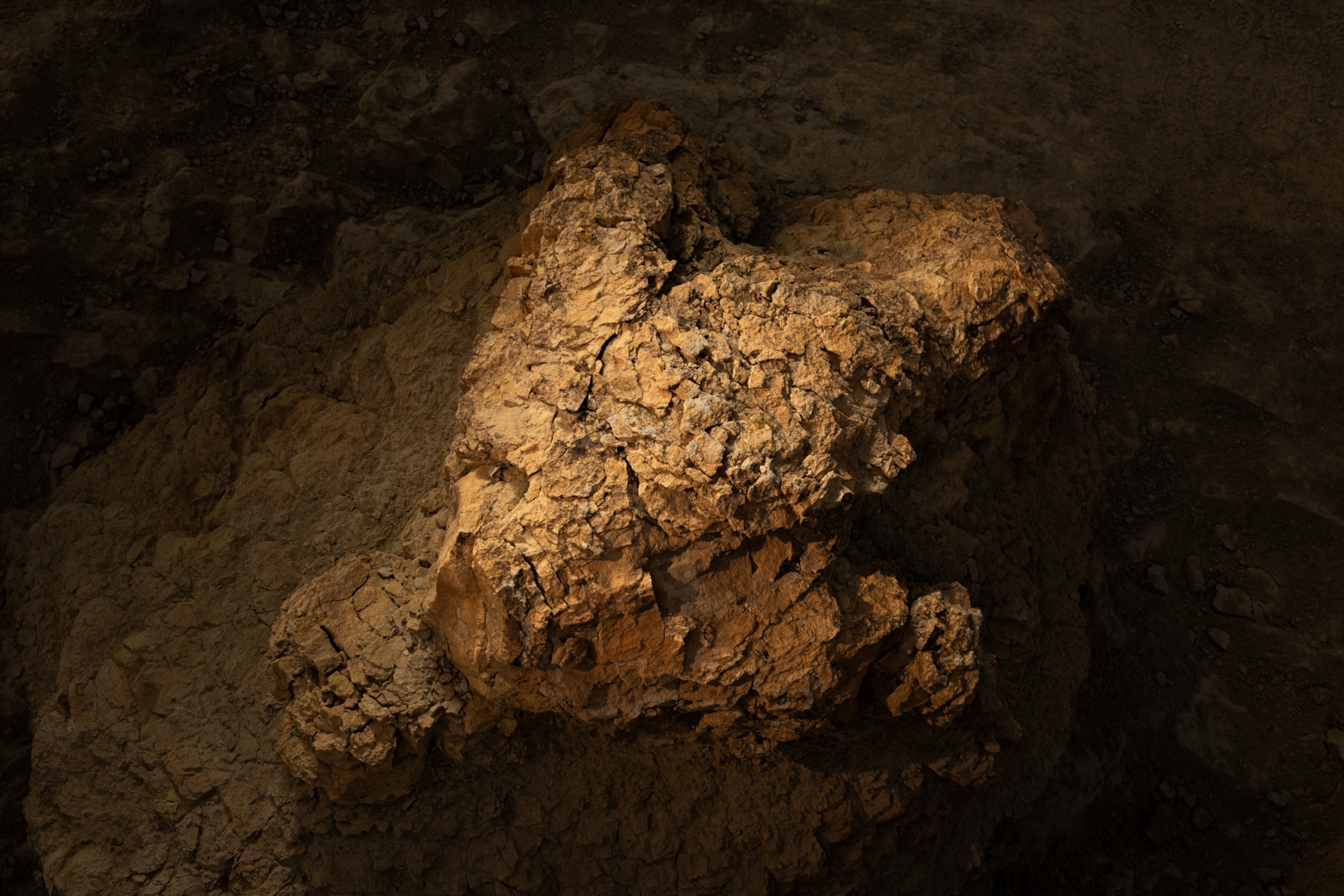 Warm light illuminates a rugged fossilized dinosaur footprint