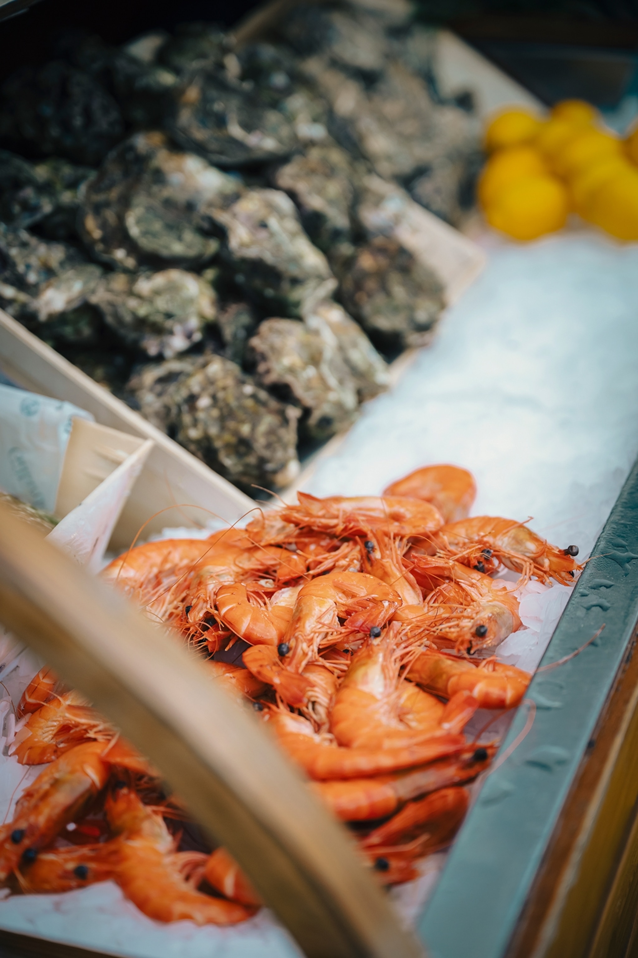 Fresh shrimp and oysters on ice.
