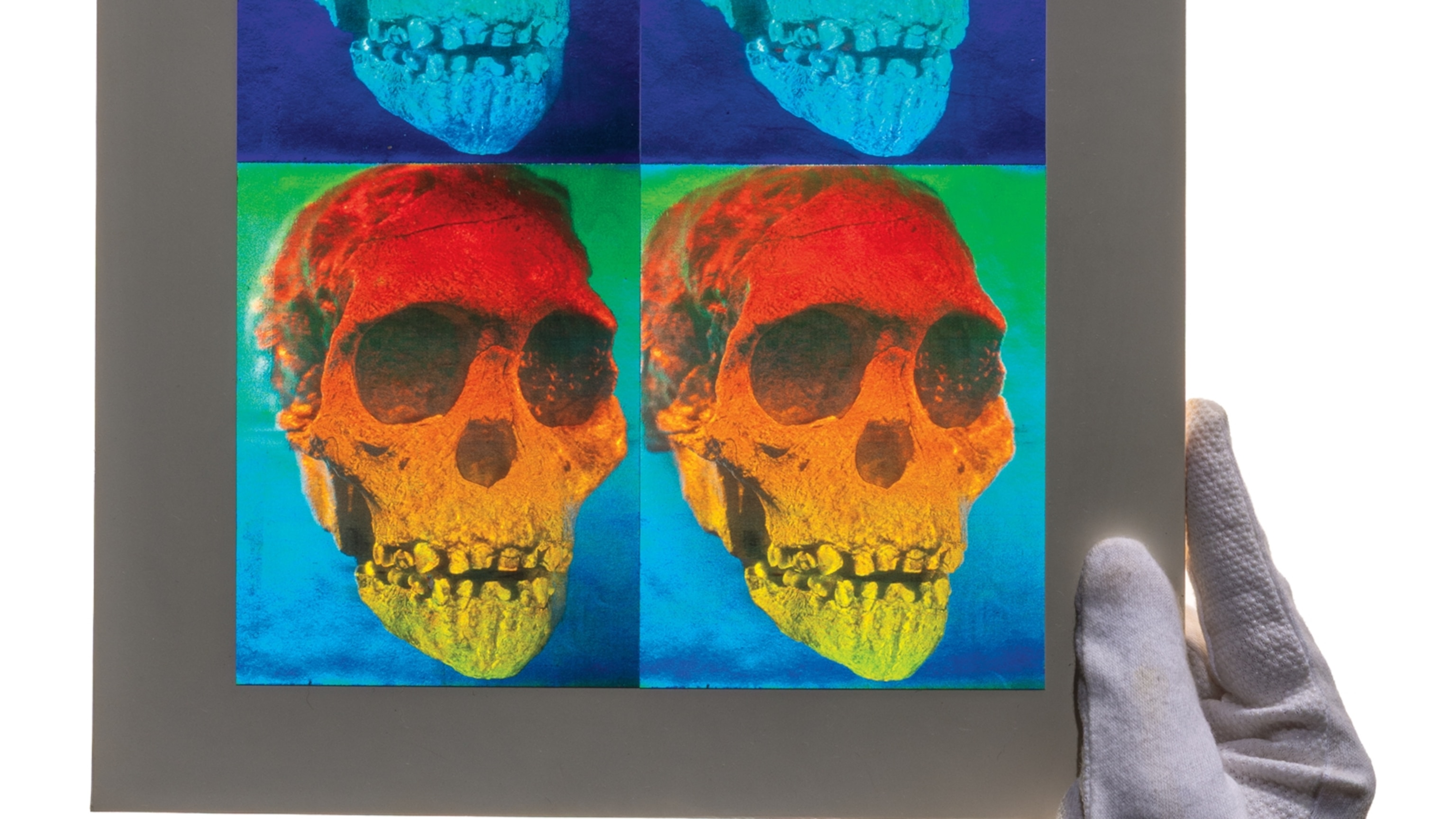 A New Way of Looking at a Very Old Skull