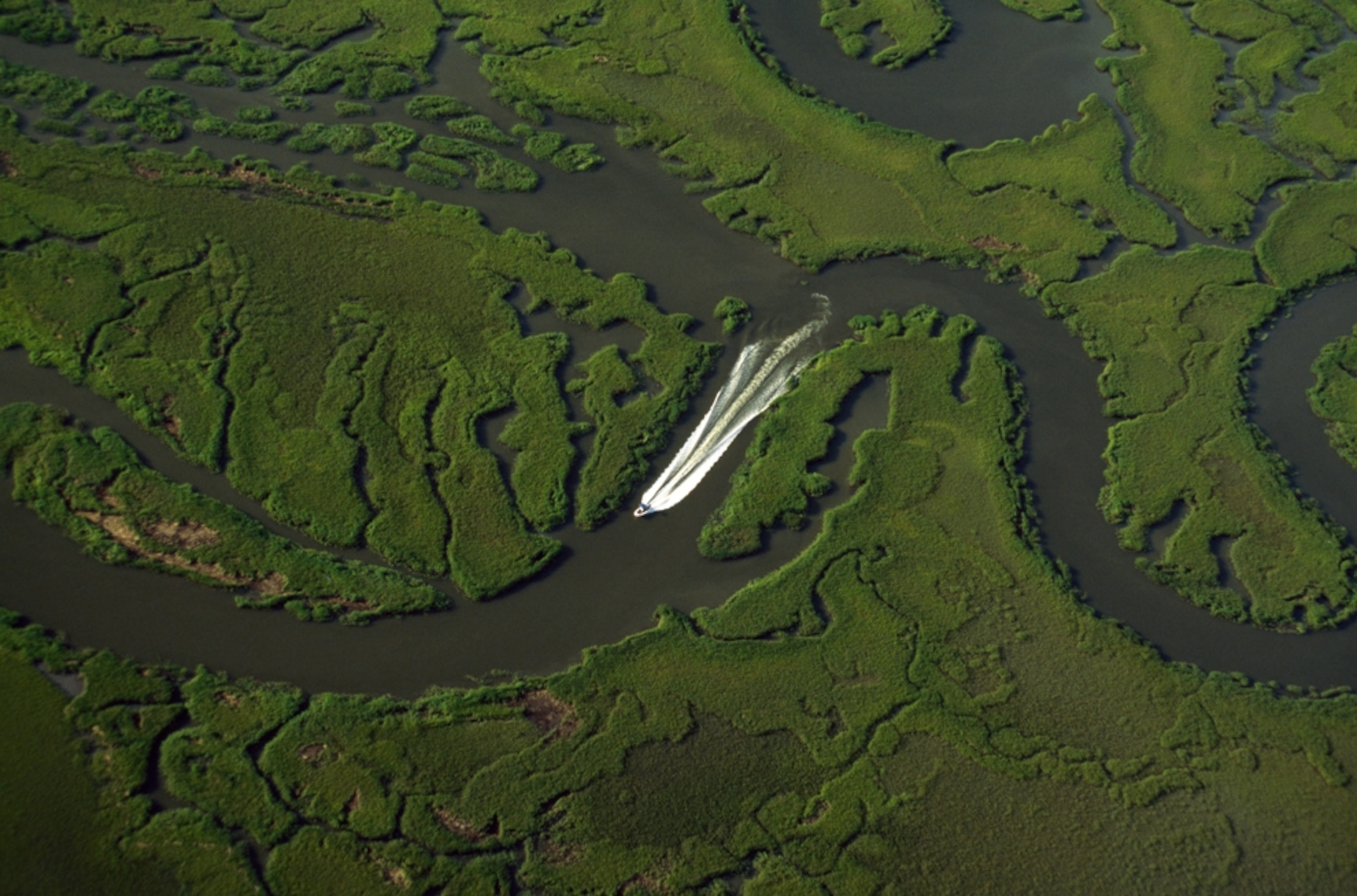an aerial view of a boat in the Sea Islands in Georgia