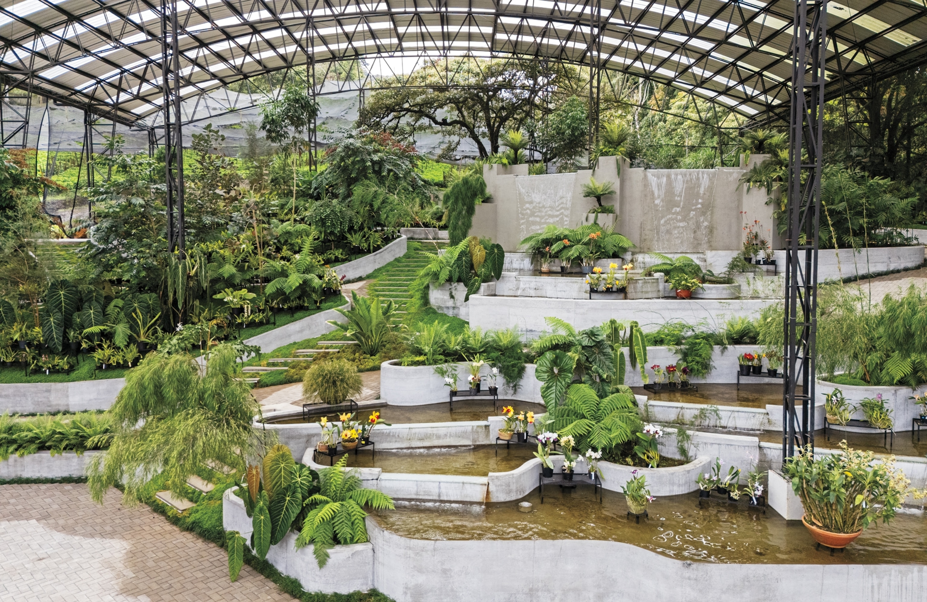 A view of the terraced structure of sanctuary garden housing the orchid collections.