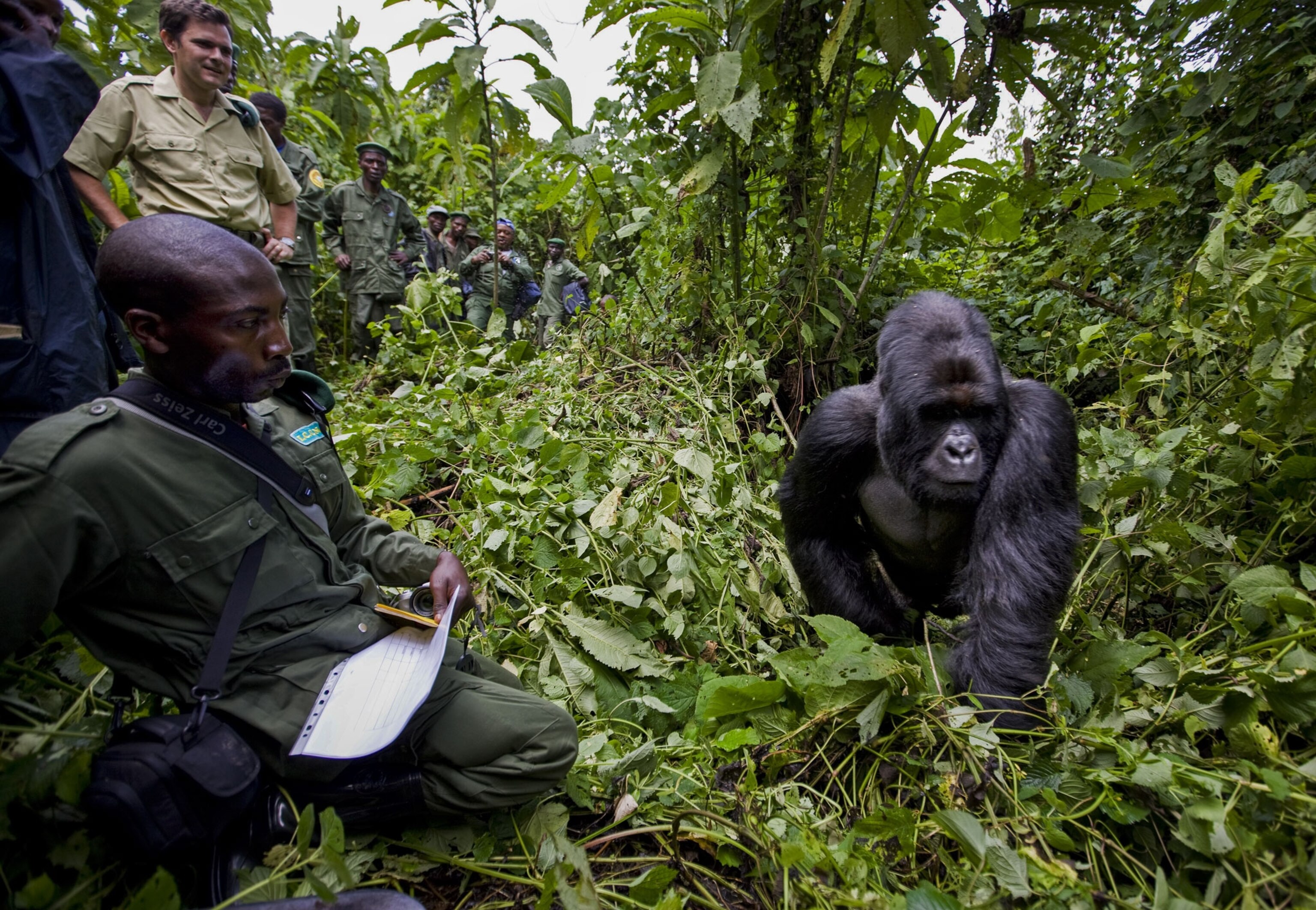 Emmanuel de Merode and rangers in Virunga National Park