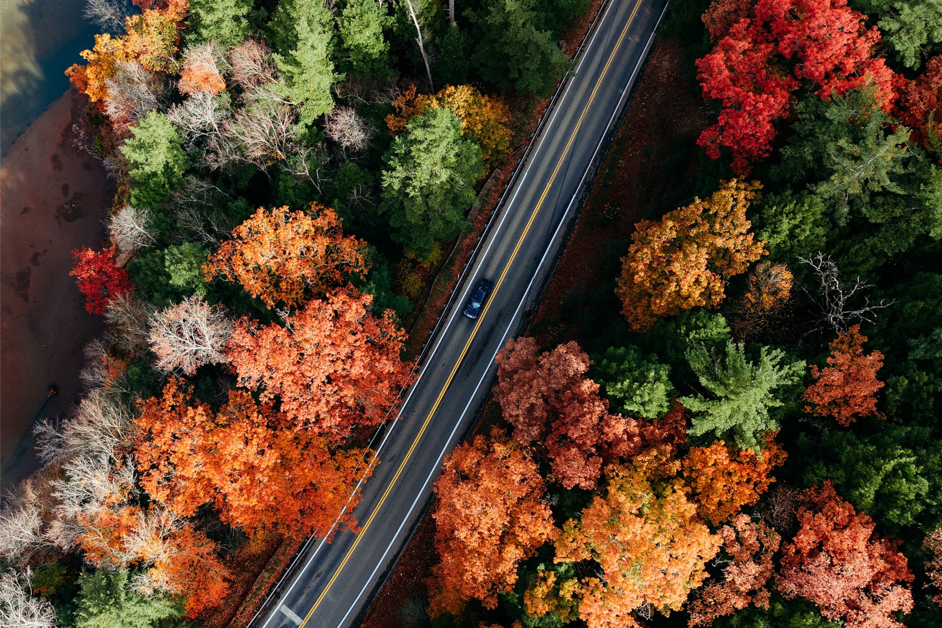 a road winds it way through an autumn forest
