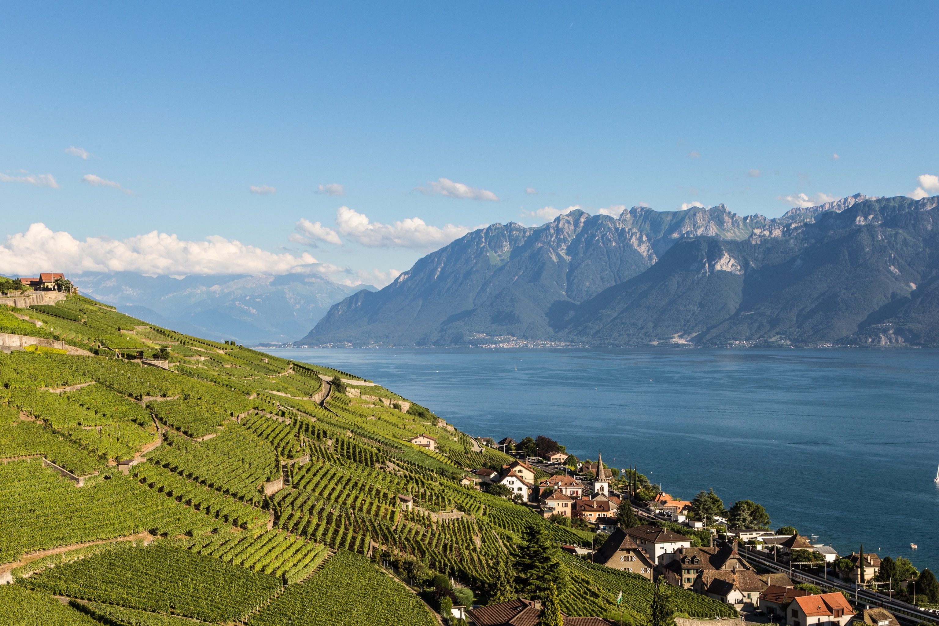 Lavaux vineyard in Switzerland