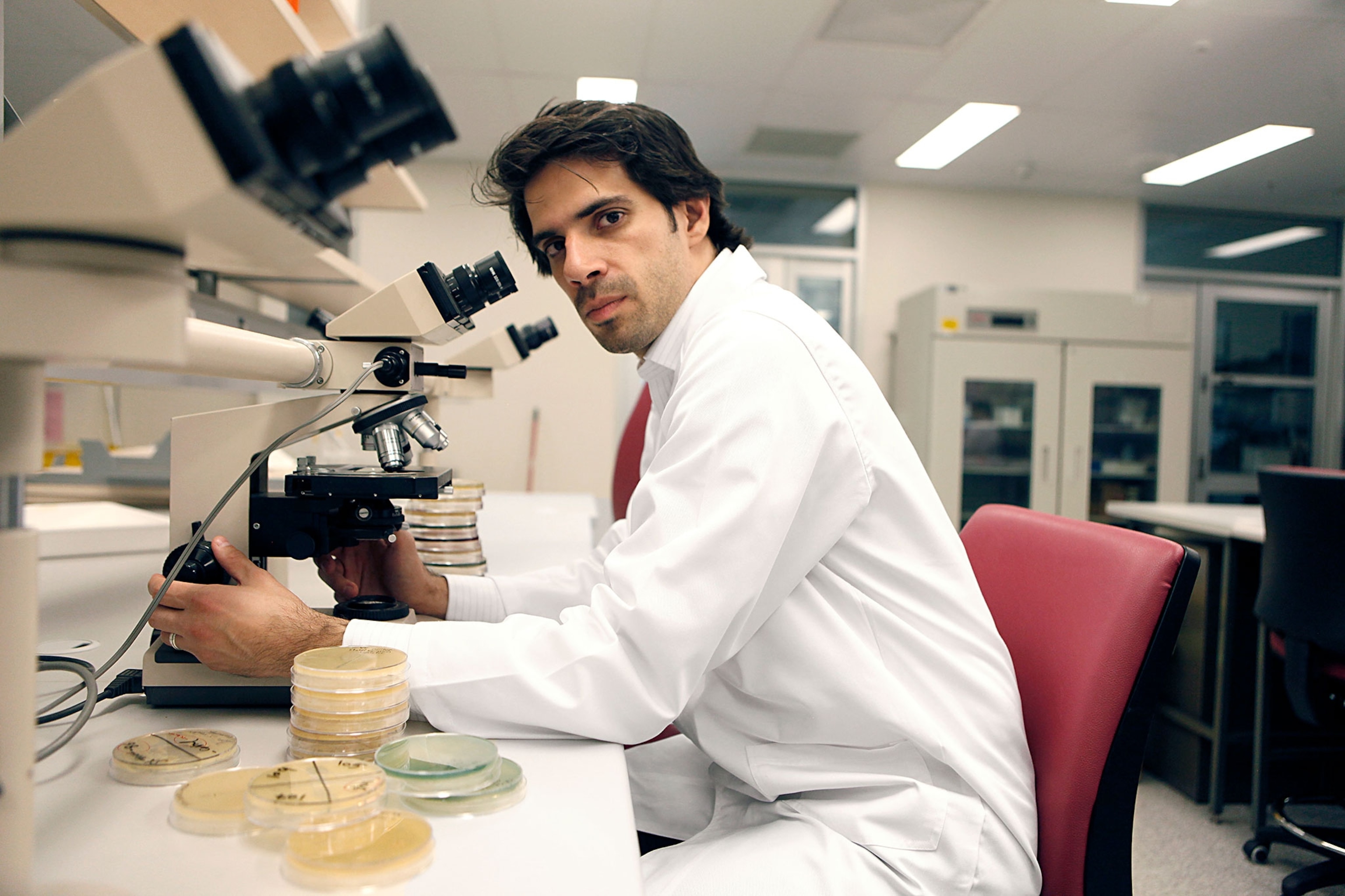 Hosam Zowawi examining bacteria with a microscope