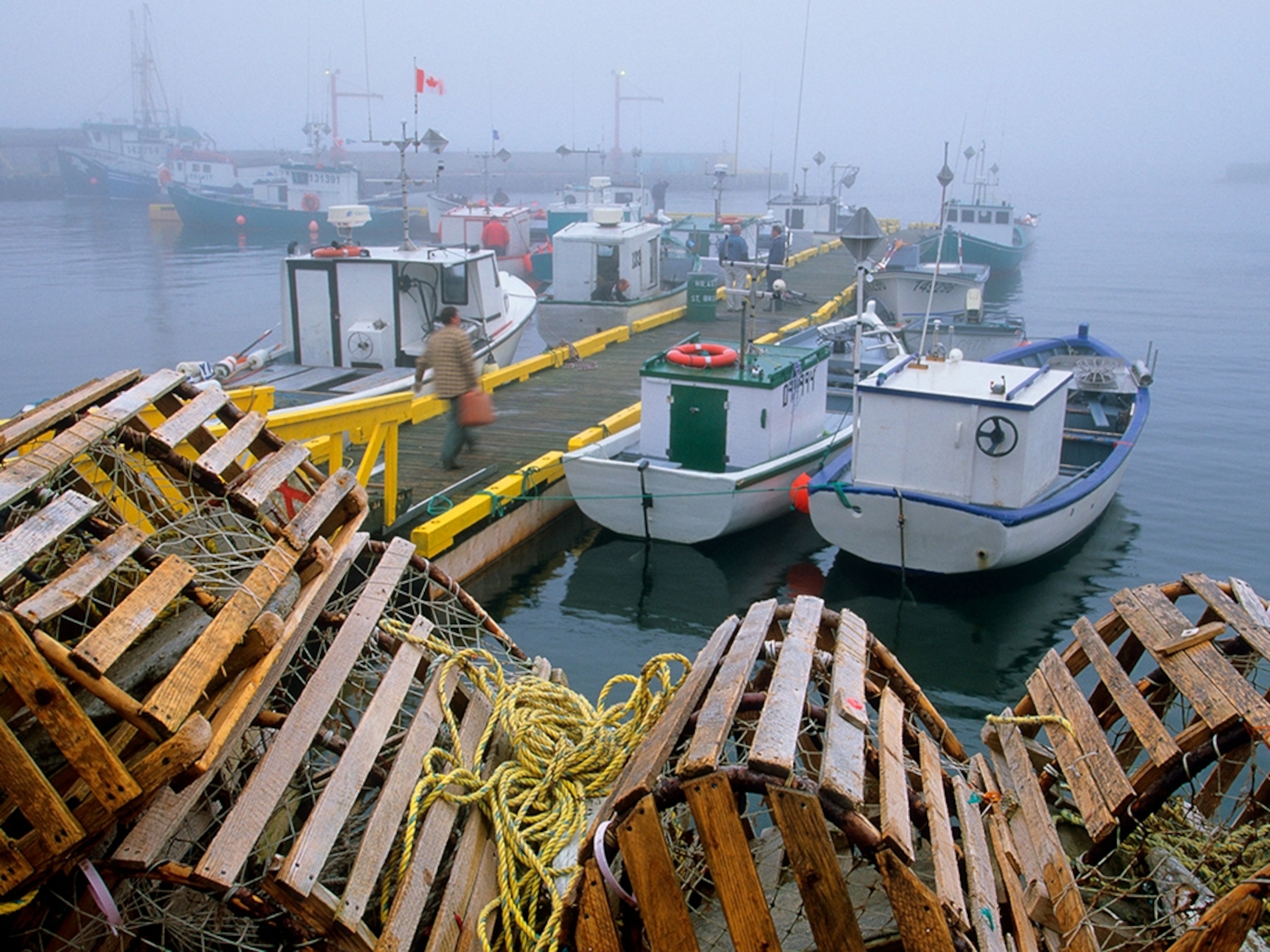 lobster traps and boats, Newfoundland