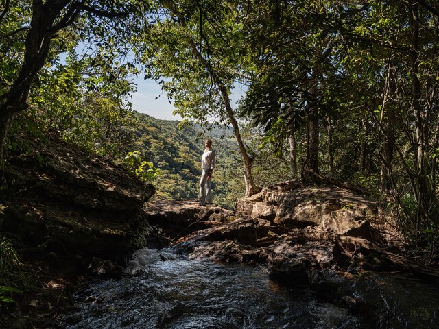 Farmers in Brazil are restoring biodiversity to grow resilient crops 1