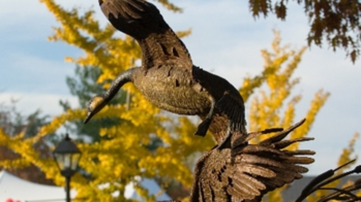 Top 5 Reasons To Visit Maryland’s Waterfowl Festival