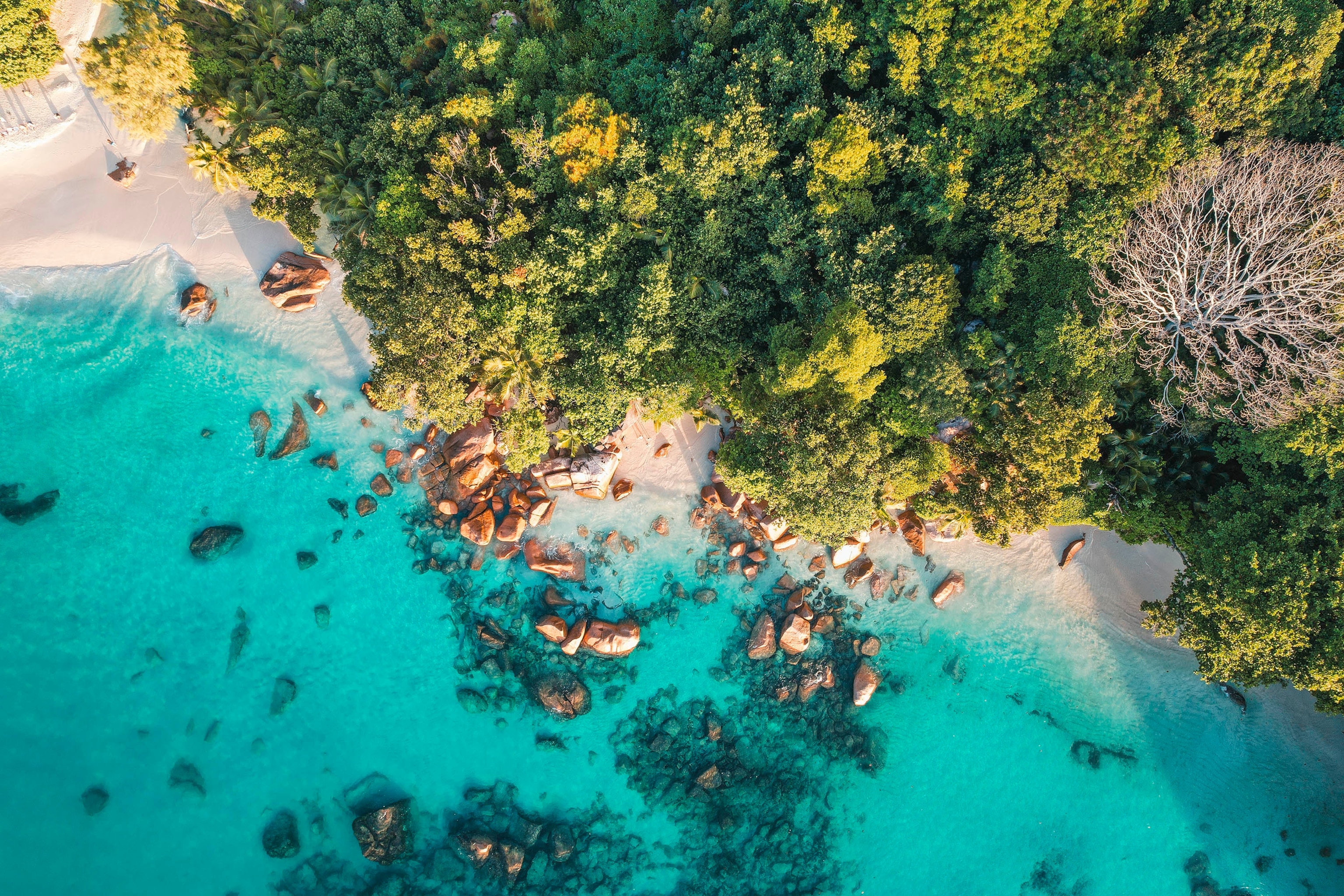 Seychelles campaign