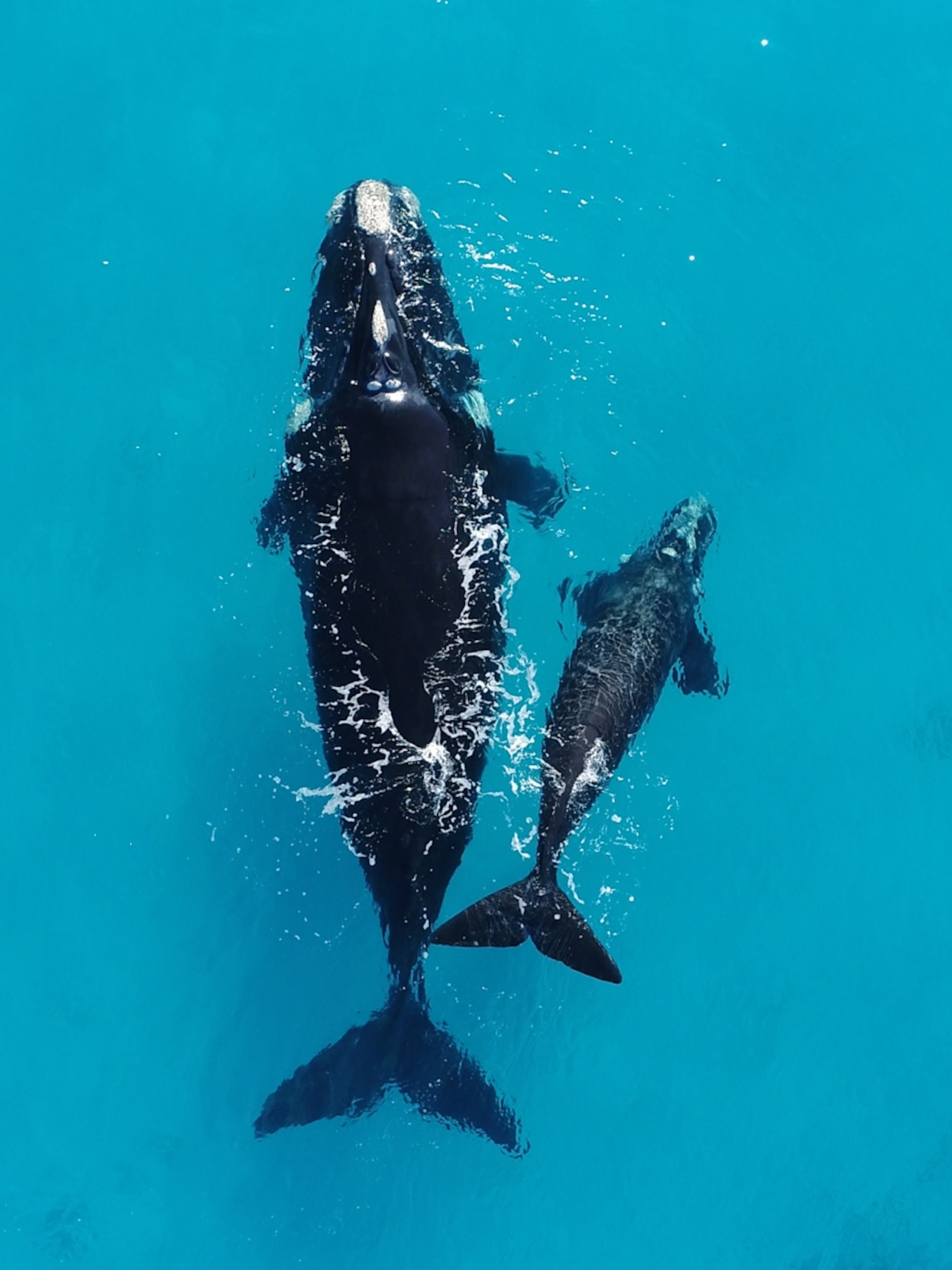 National Geographic