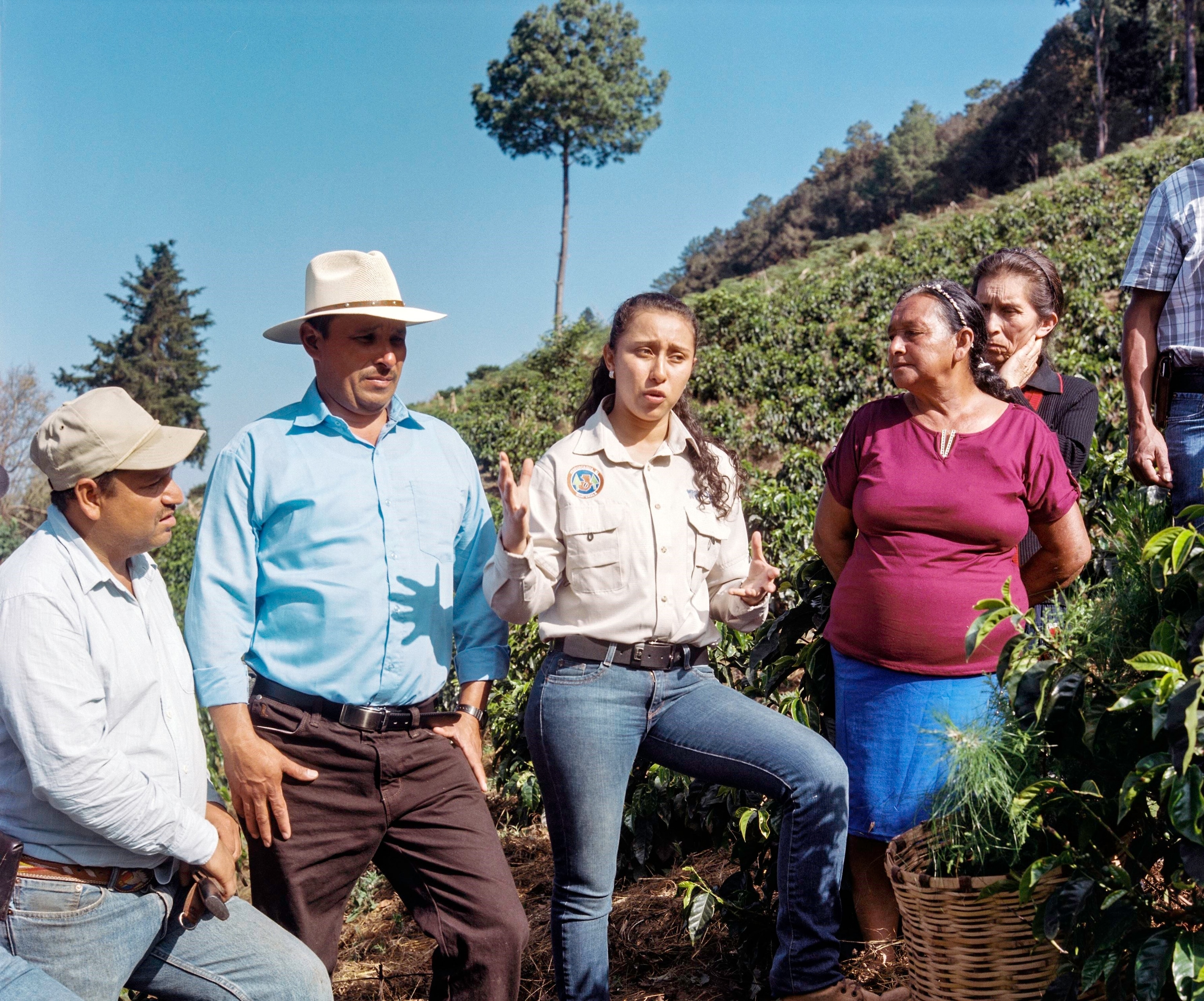 Guatemala, Agroforestry Program