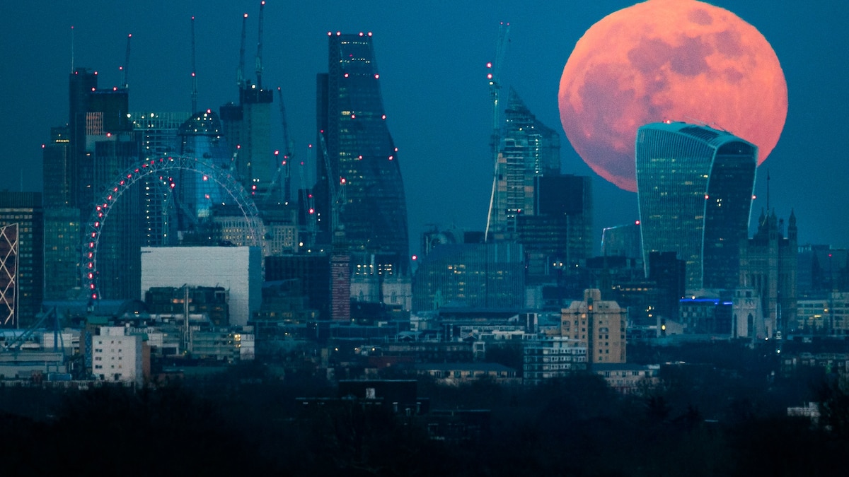 Flower Moon Full Moon : ce qu'il faut savoir — image 2