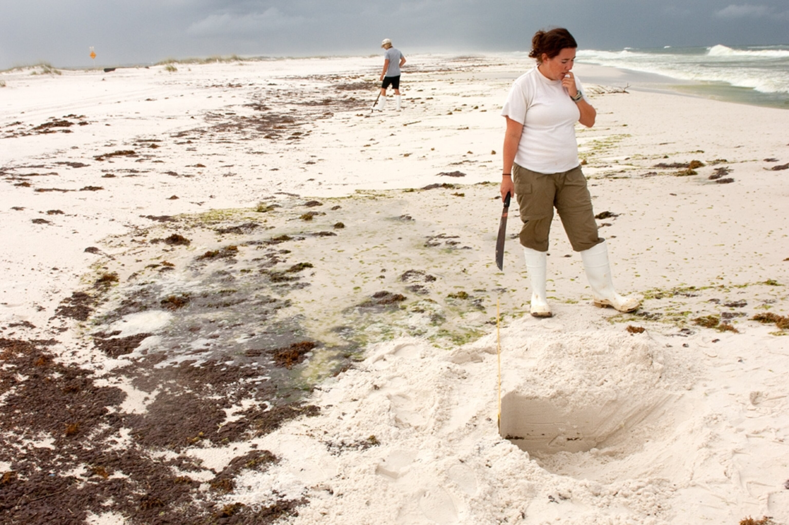 Weathered oil on a beach