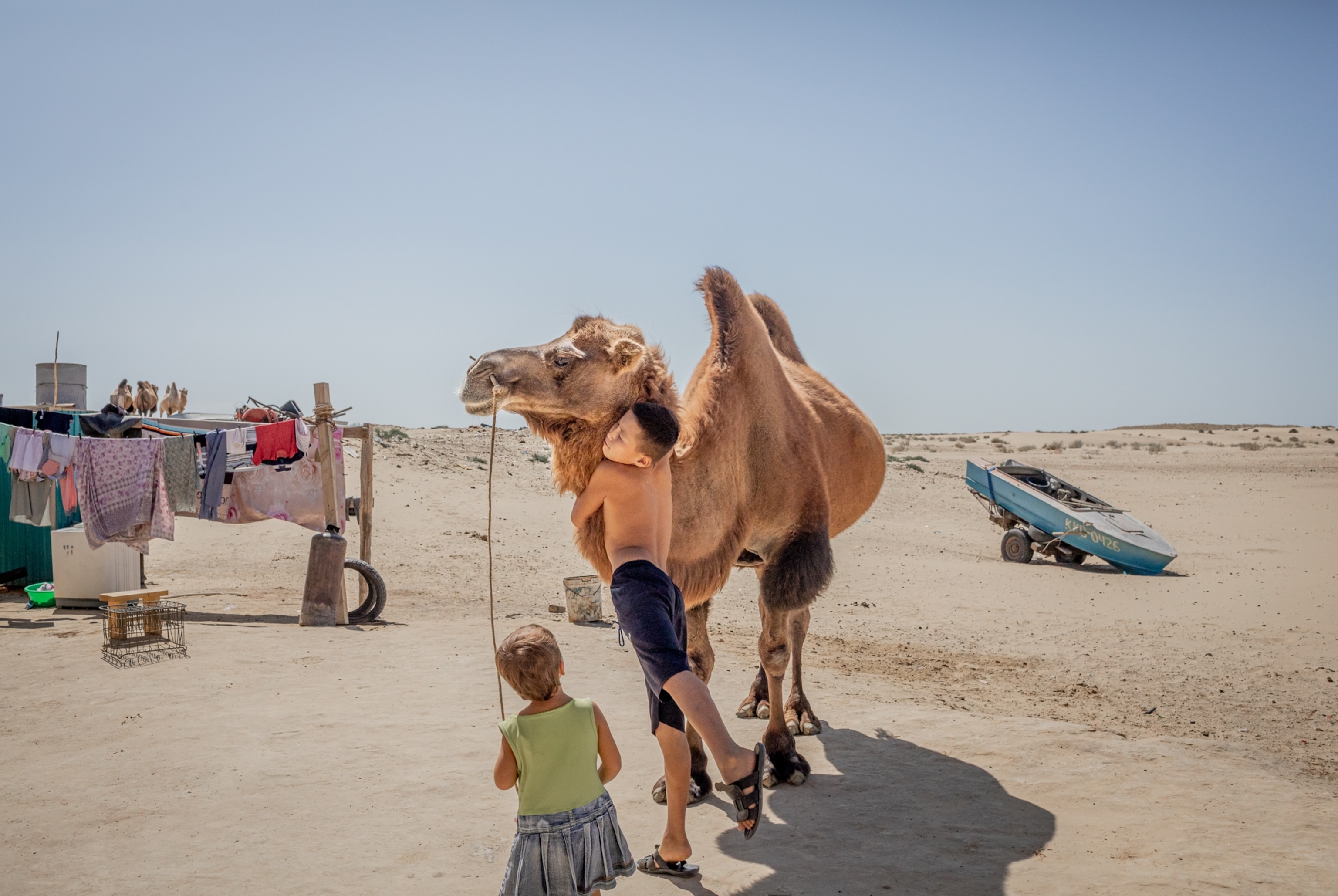 Boy hugging the camel and little girl watching it.