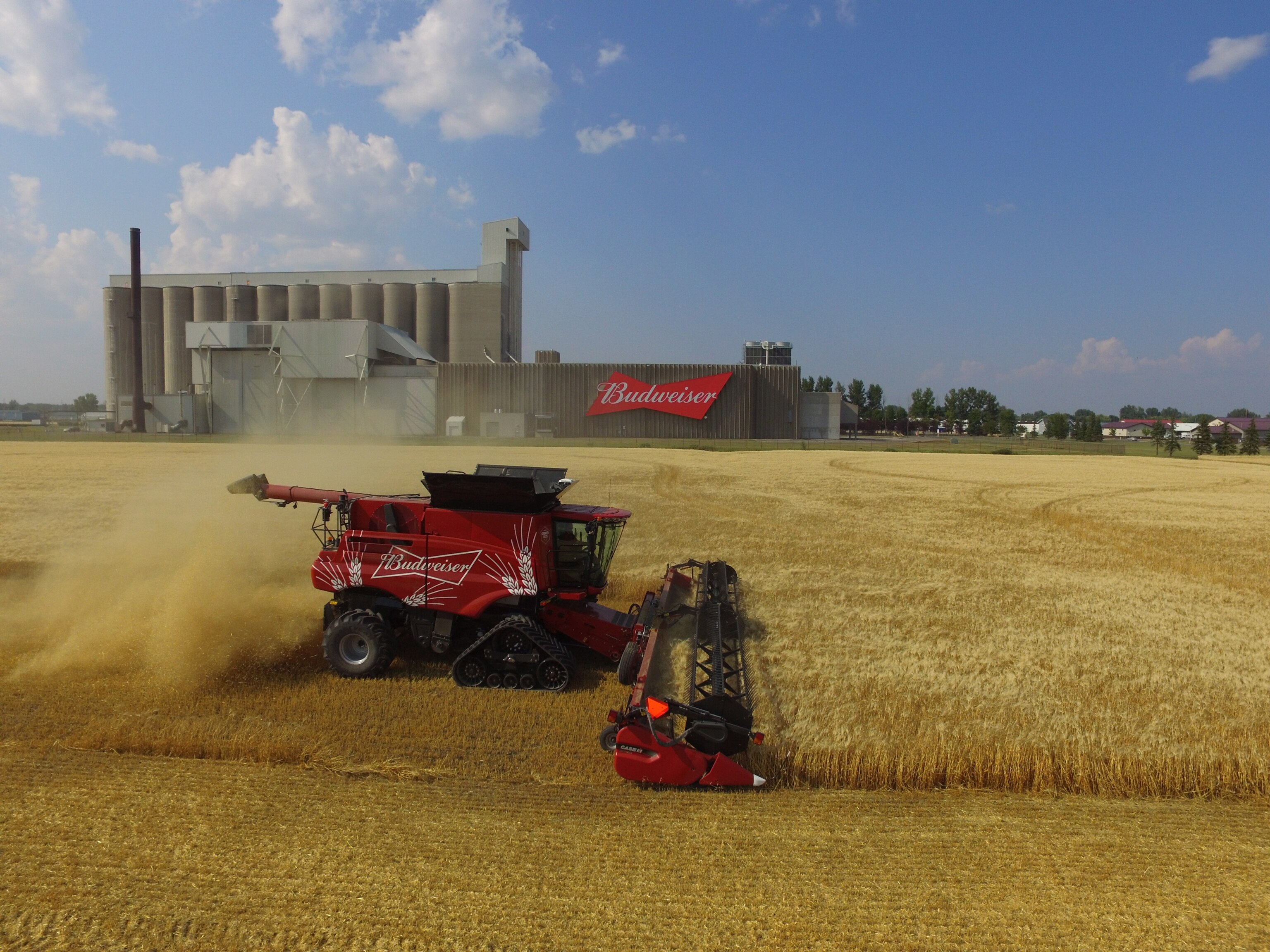 Budweiser has worked closely with its farmers to innovate every aspect of the barley farming process
