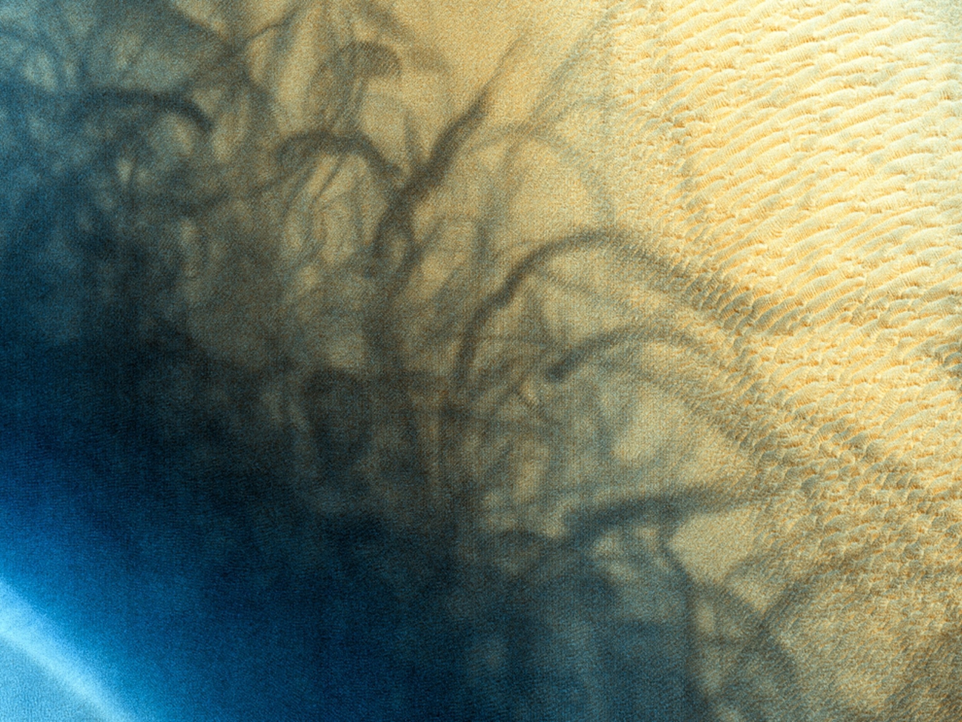Dust devil picture: Streaks left by dust devils on Mars