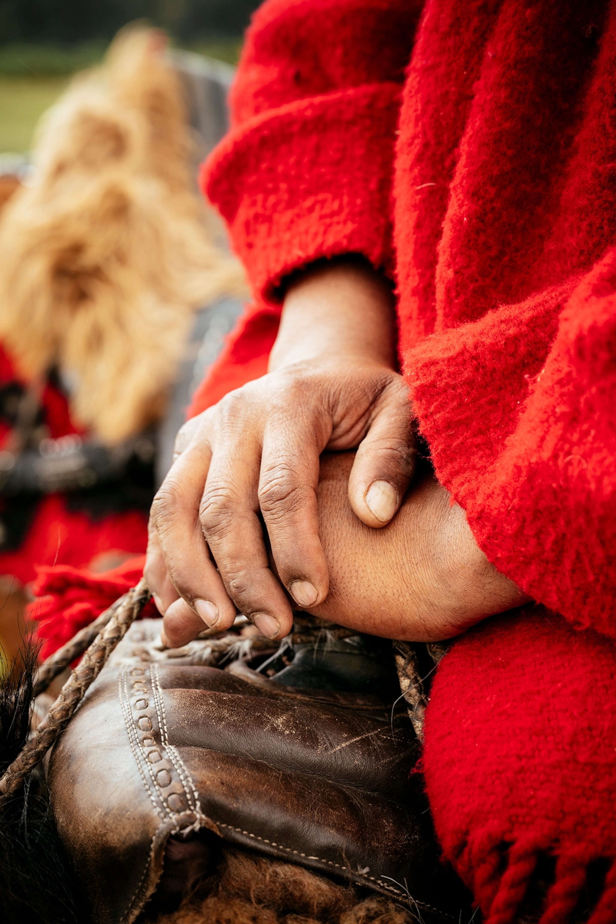 A close-up of a hand on a saddle.