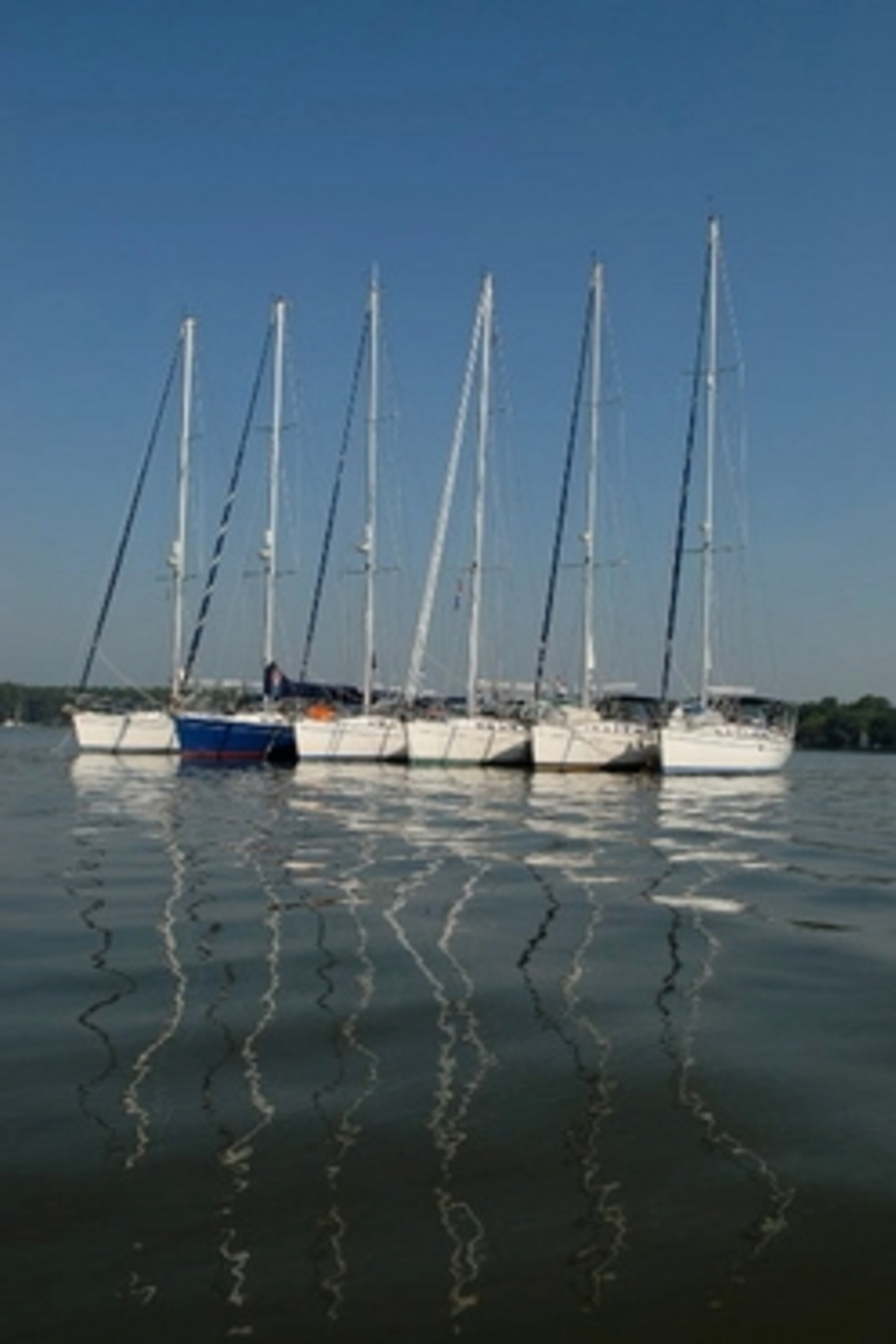 Raft Up on the River