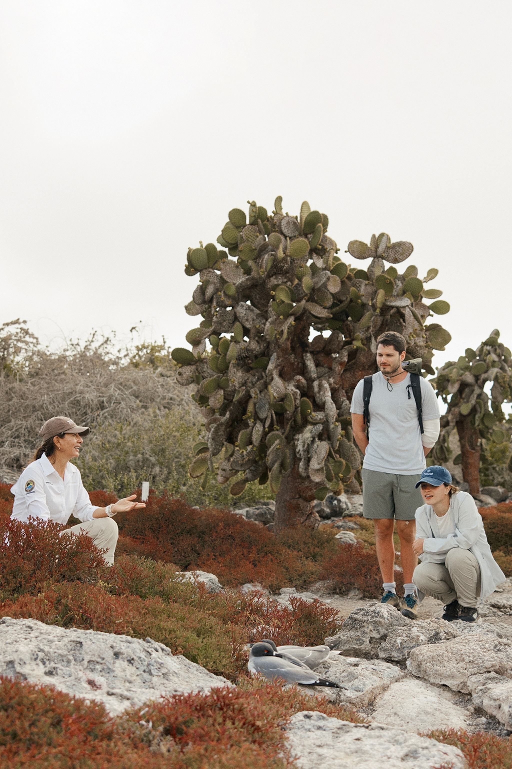 A female guide showing a plant to visitors on a rocky island plateau.