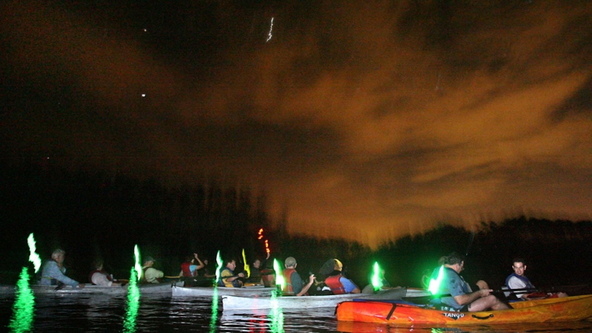 Florida by Water Experience Bioluminescence National Geographic
