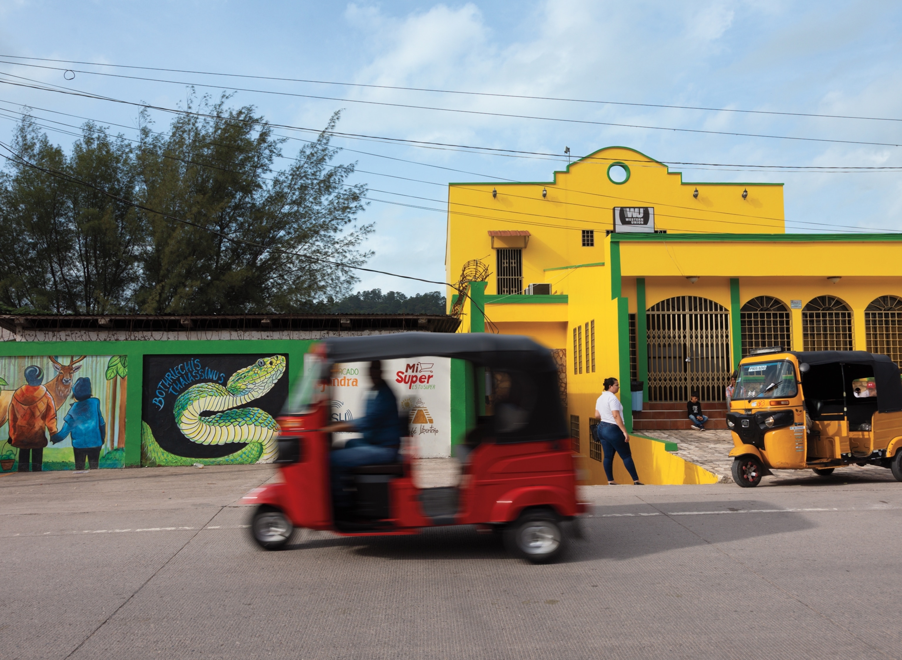 Red tree-wheel car passing by yellow building and murals on the wall depicting rain forest and Jade viper.