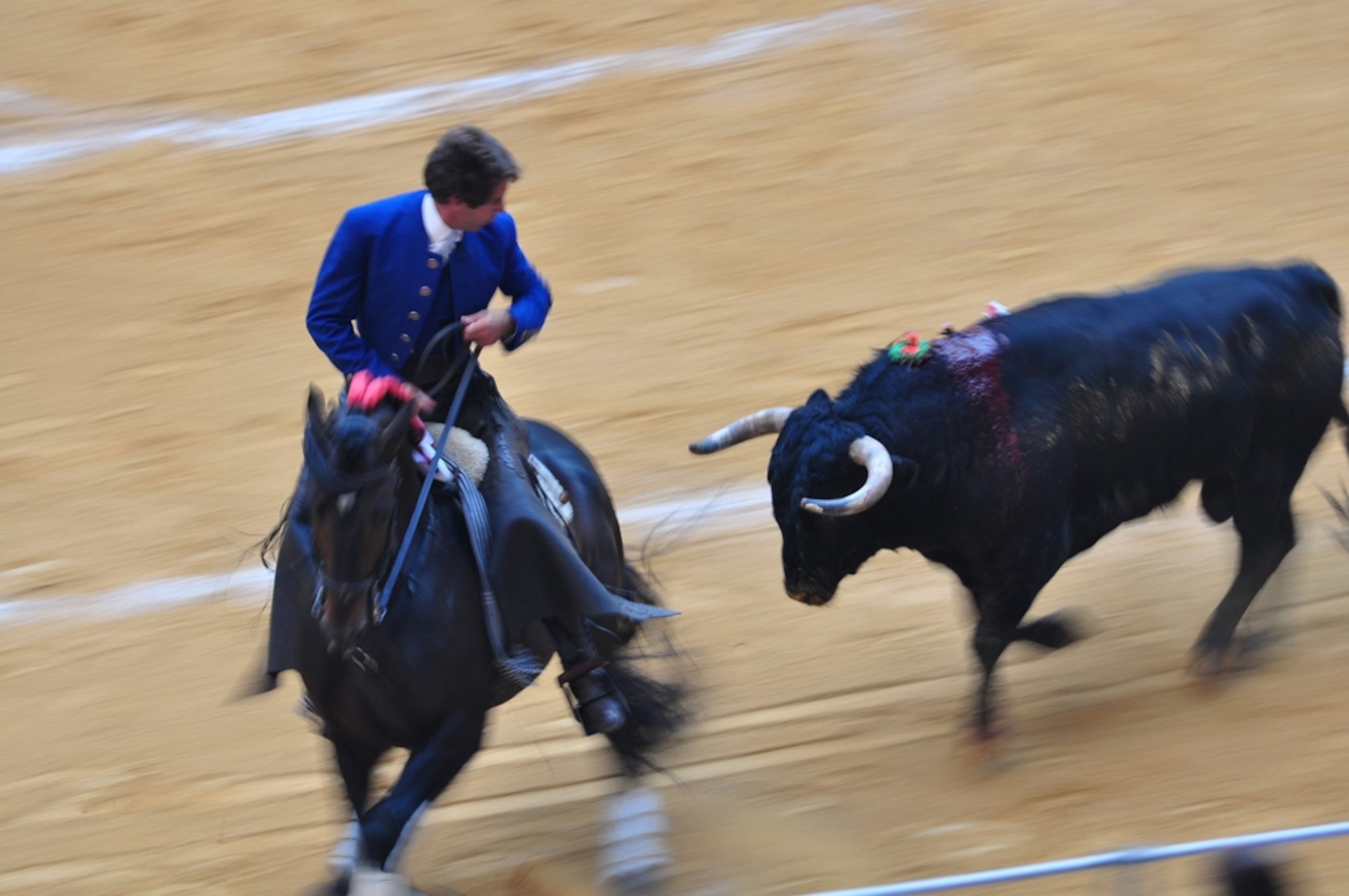 Bullfight in Spain