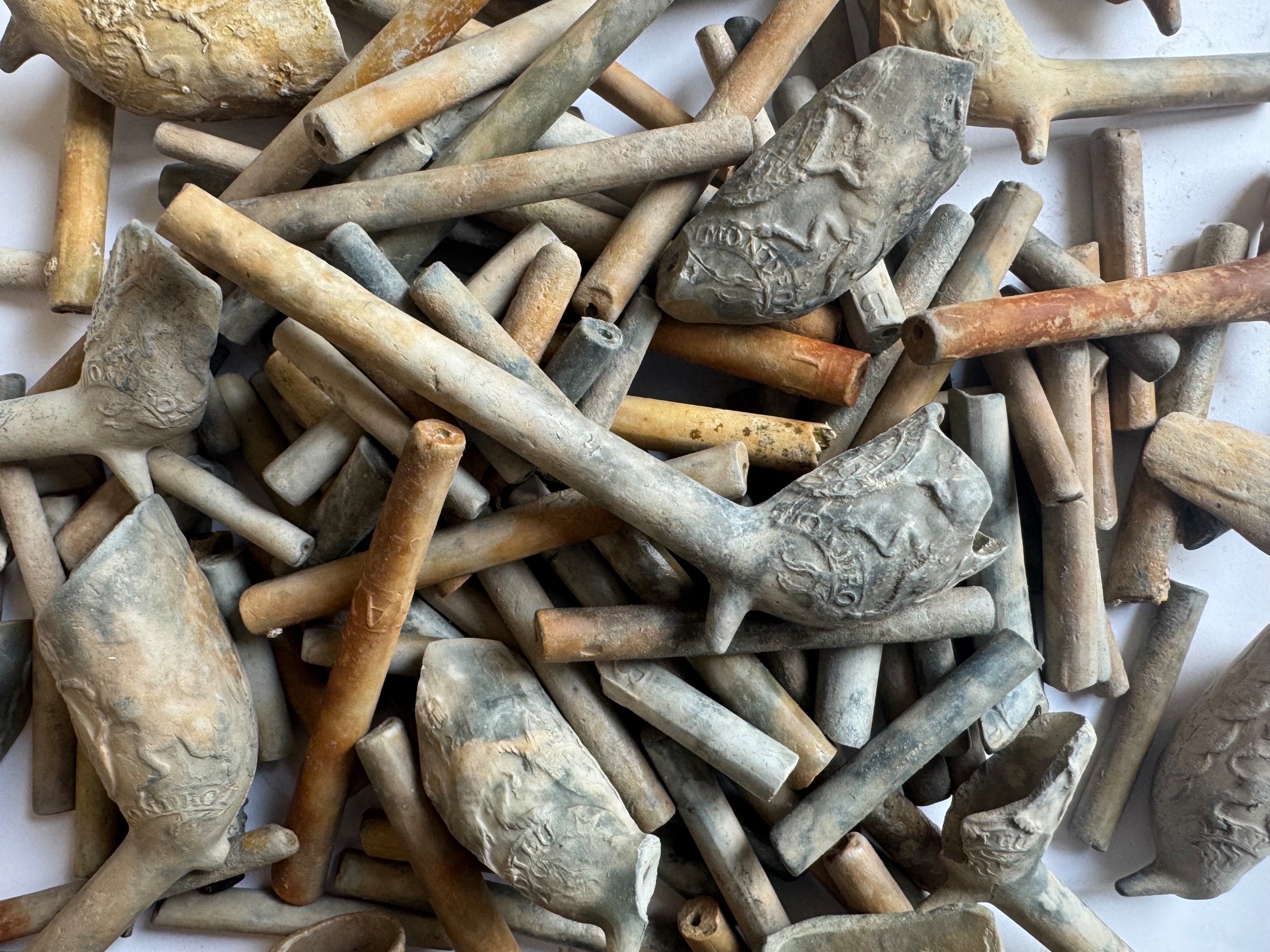 Tobacco pipes recovered from a shipwreck from the 1740s in Nassau harbor, The Bahamas, are decorated with the royal crest of England.