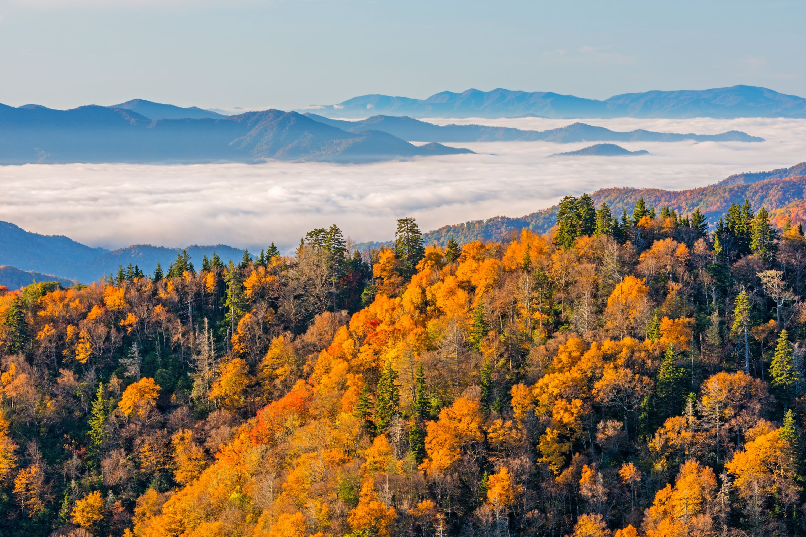 the Great Smoky Mountains in Tennessee