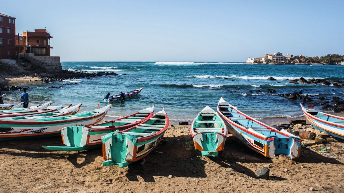 West Africa's wonders: a safari along Senegal's wildlife-rich coast