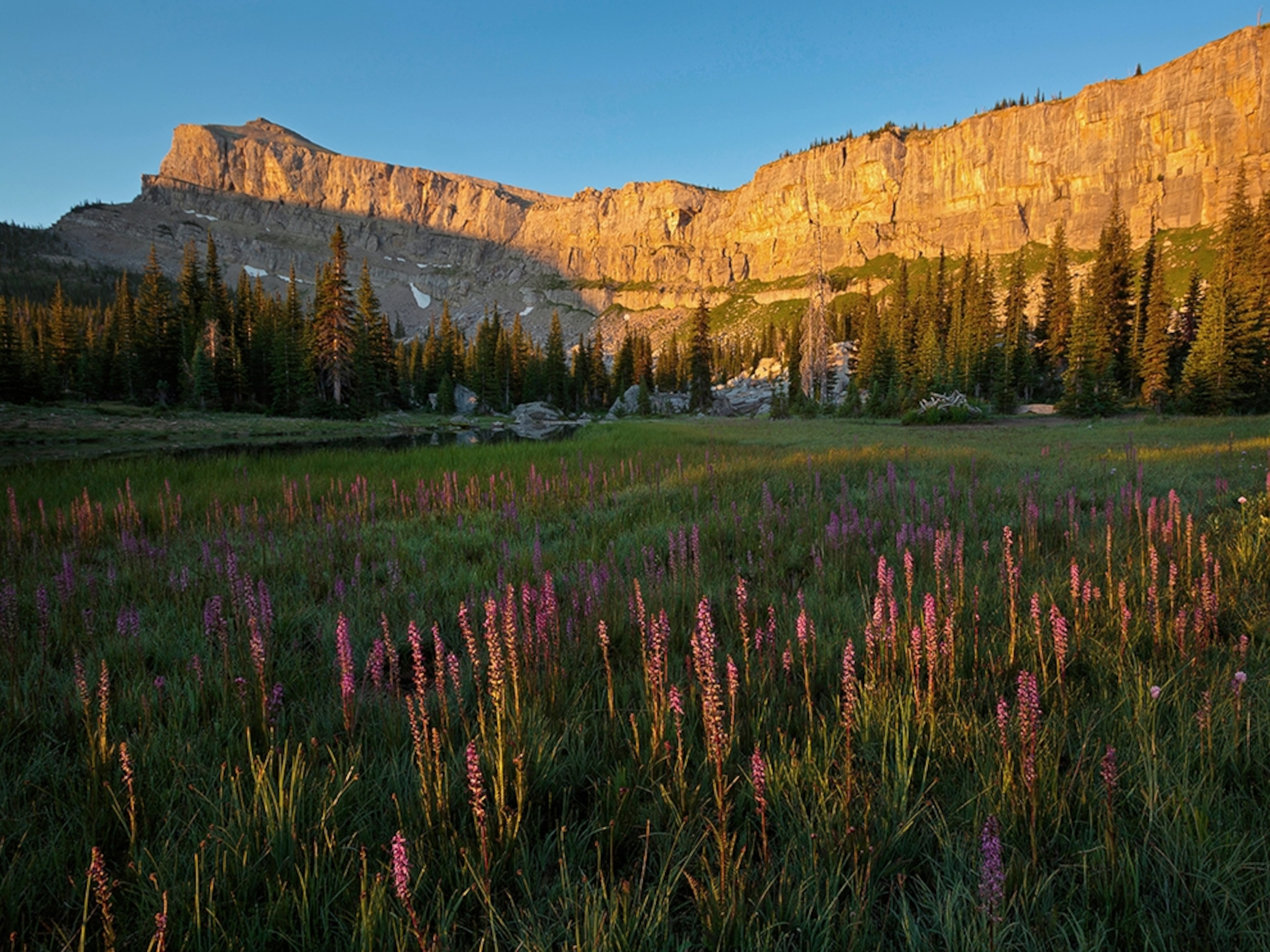 the Chinese Wall in the Bob Marshall Wilderness area of Montana
