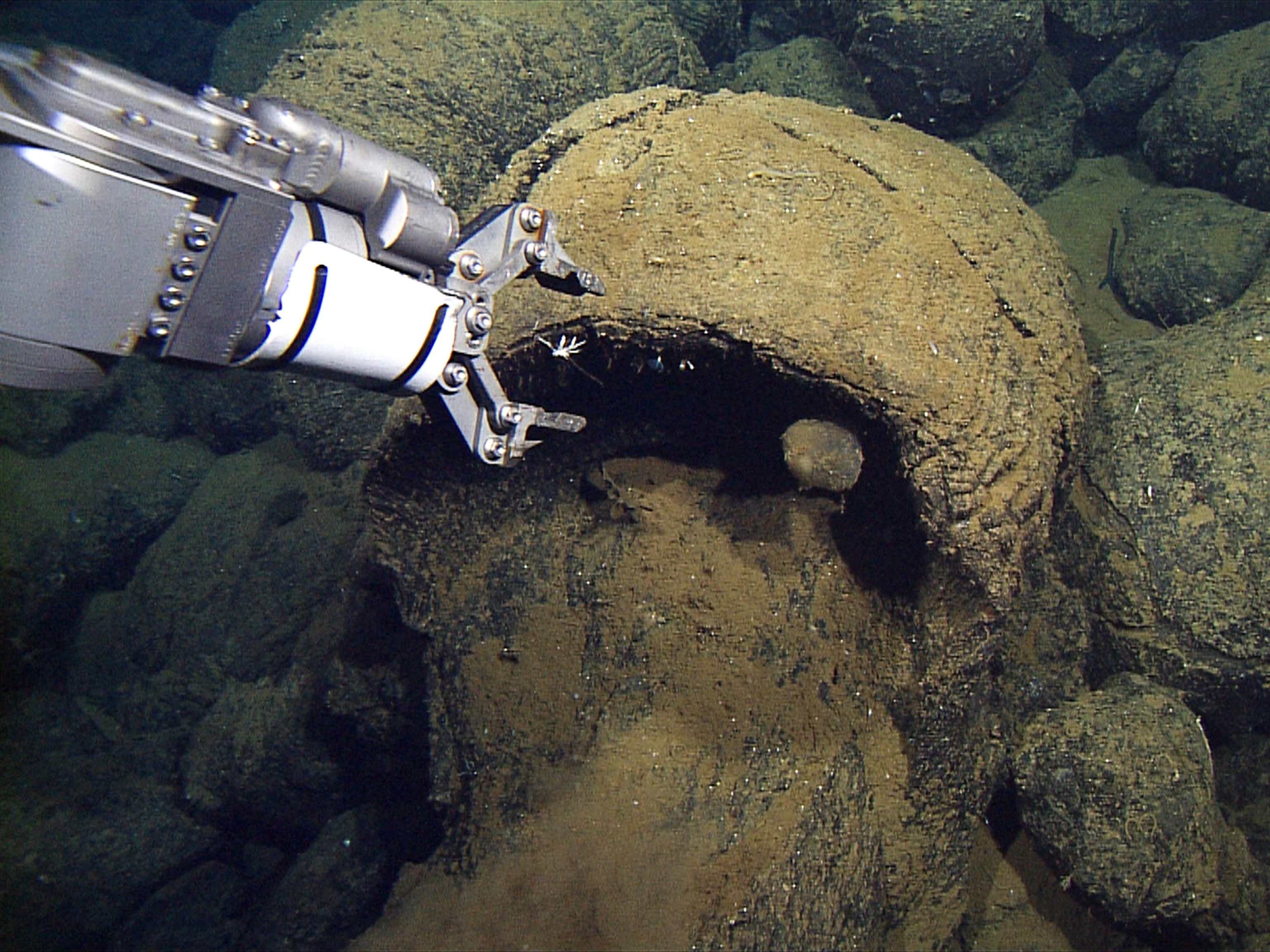 Hydrothermal vent picture: a robotic arm taking a sample