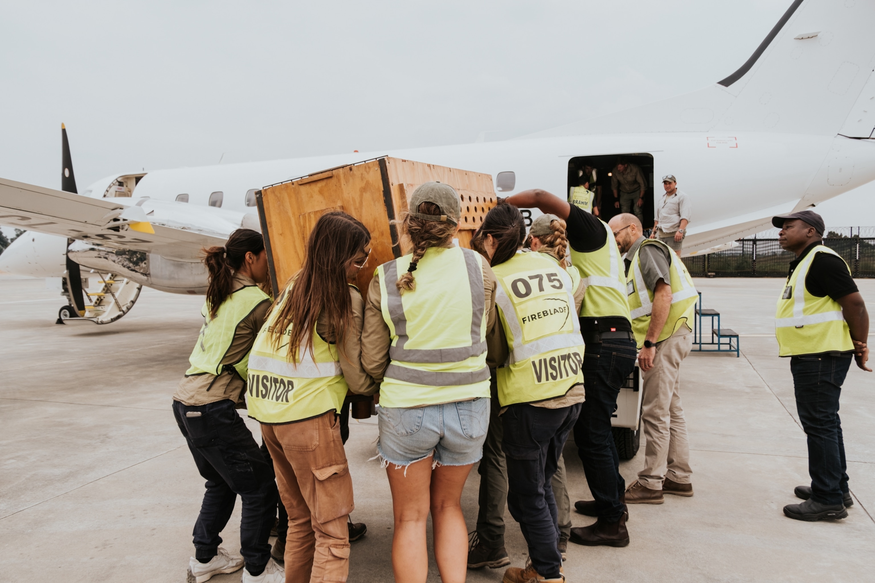A group of people in high-visibility vests carefully unloads a large wooden crate from an airplane on the tarmac