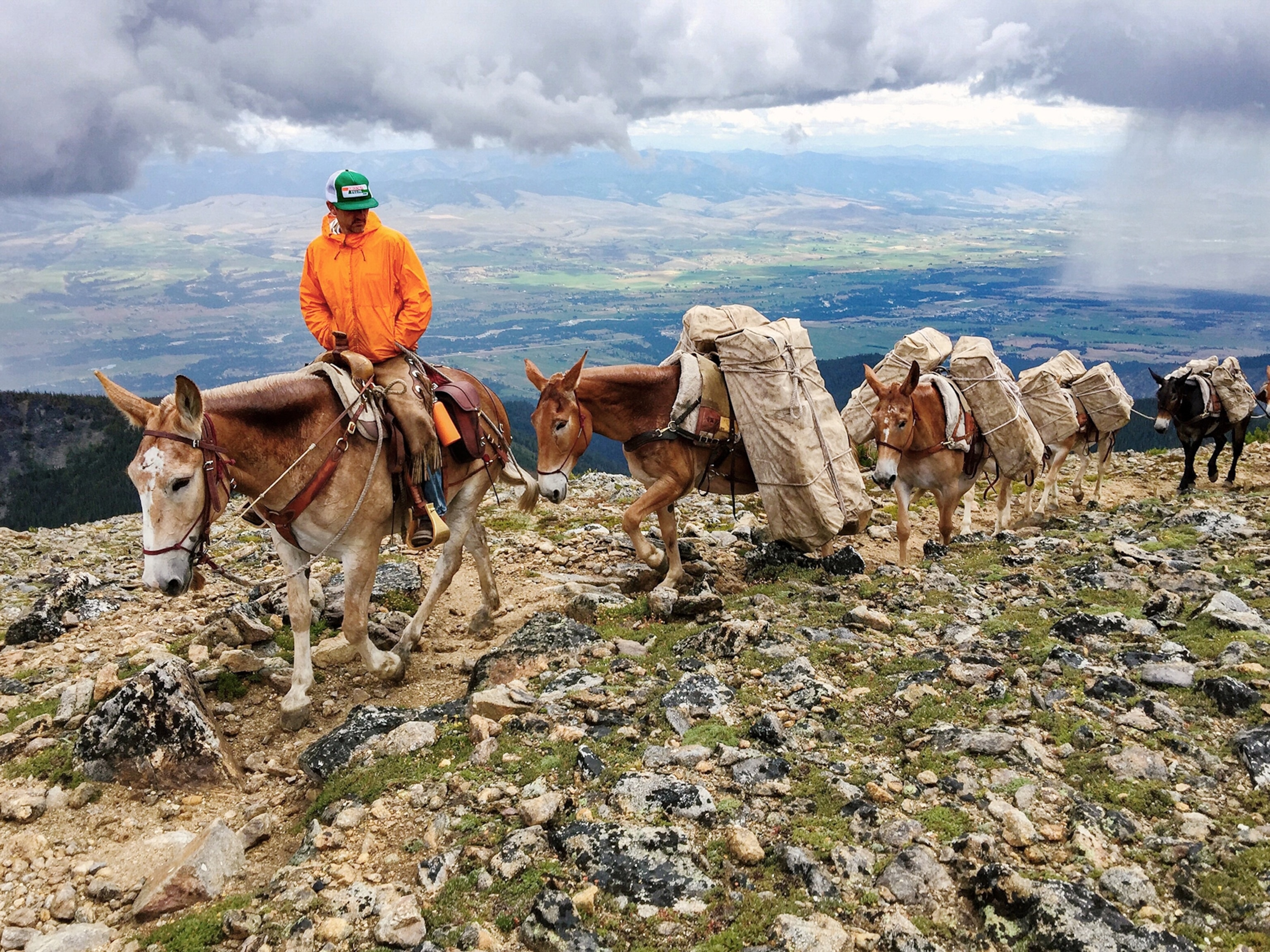 mule line on cliff’s edge