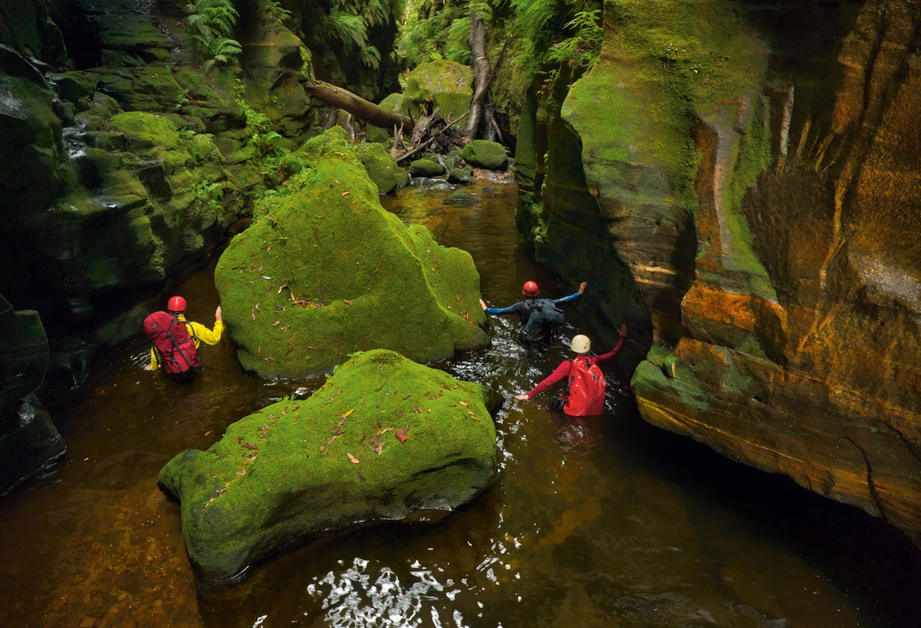 John Robens leading a soggy team through a moss-covered passage in Claustral Canyon