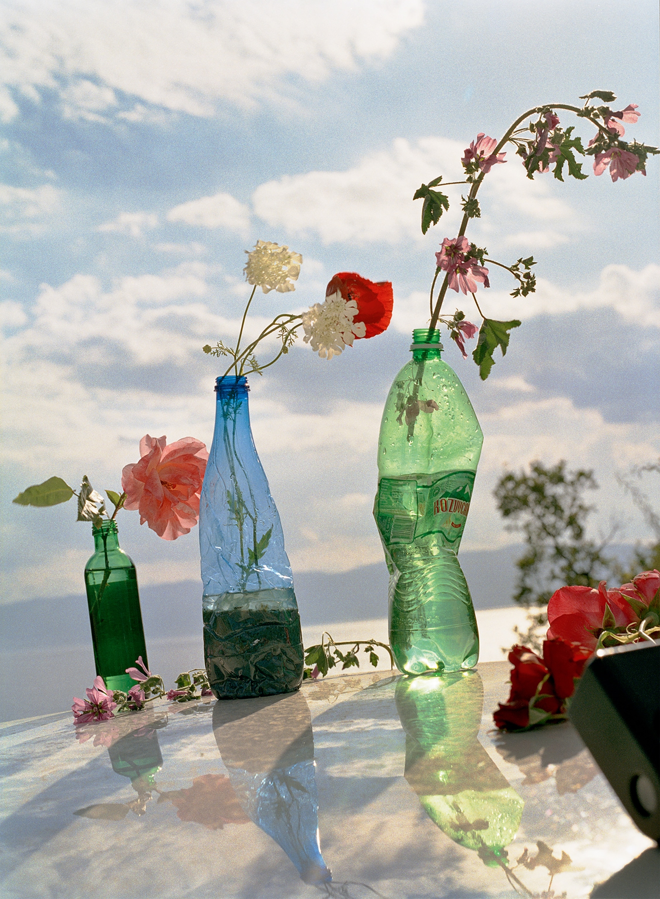 A variety of wild flowers sit in recycled plastic bottles in the sun.