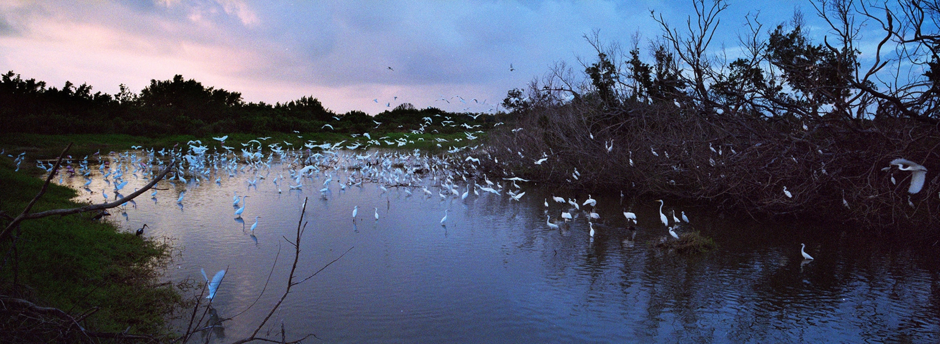The furthest point south on the mainland of Everglades National Park, Eco Pond early in the morning on the way to Flamingo.